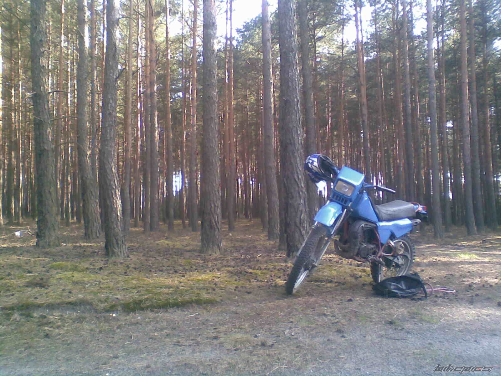 Photo 1637958