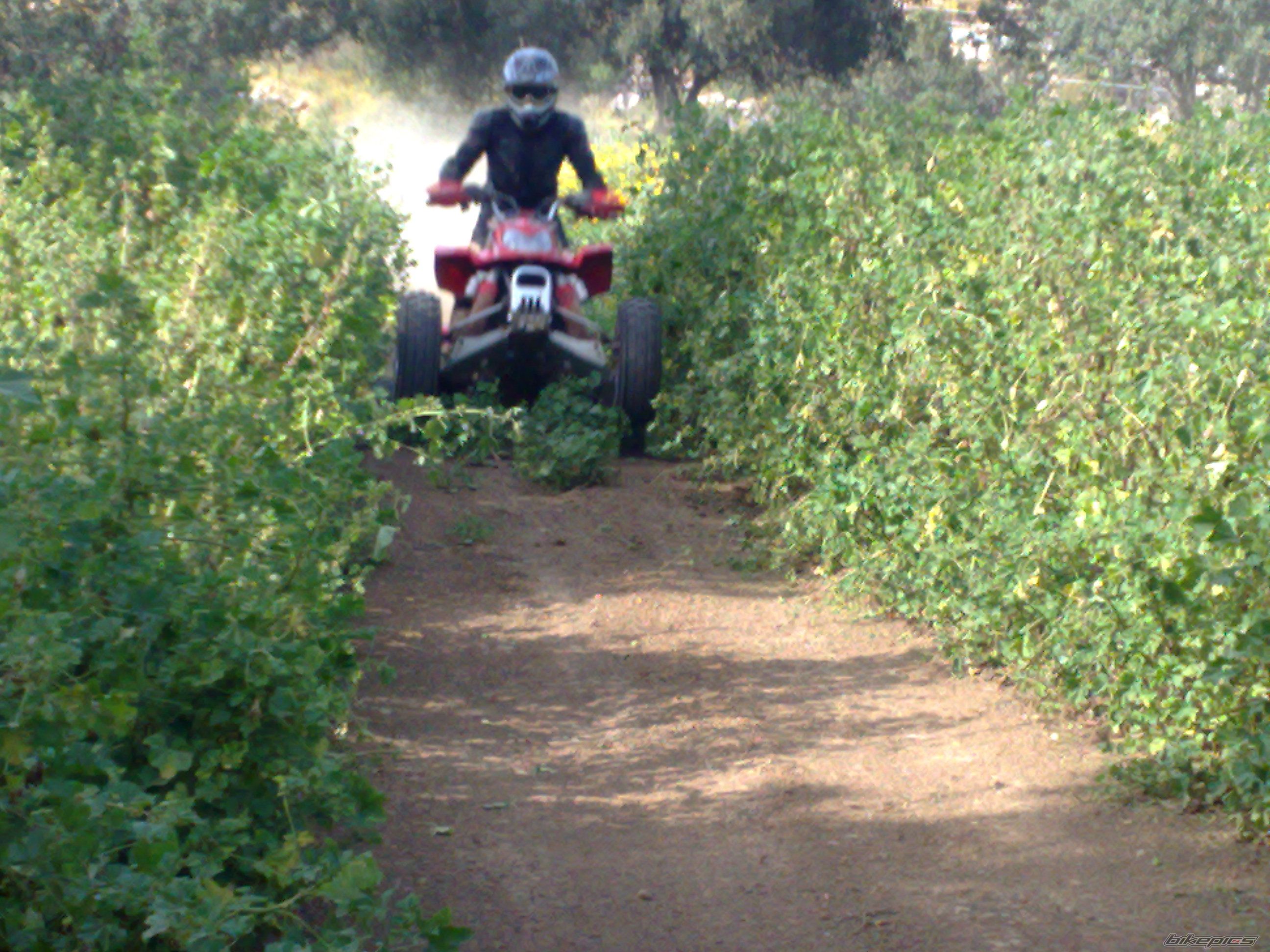 Bike Photo 1637960
