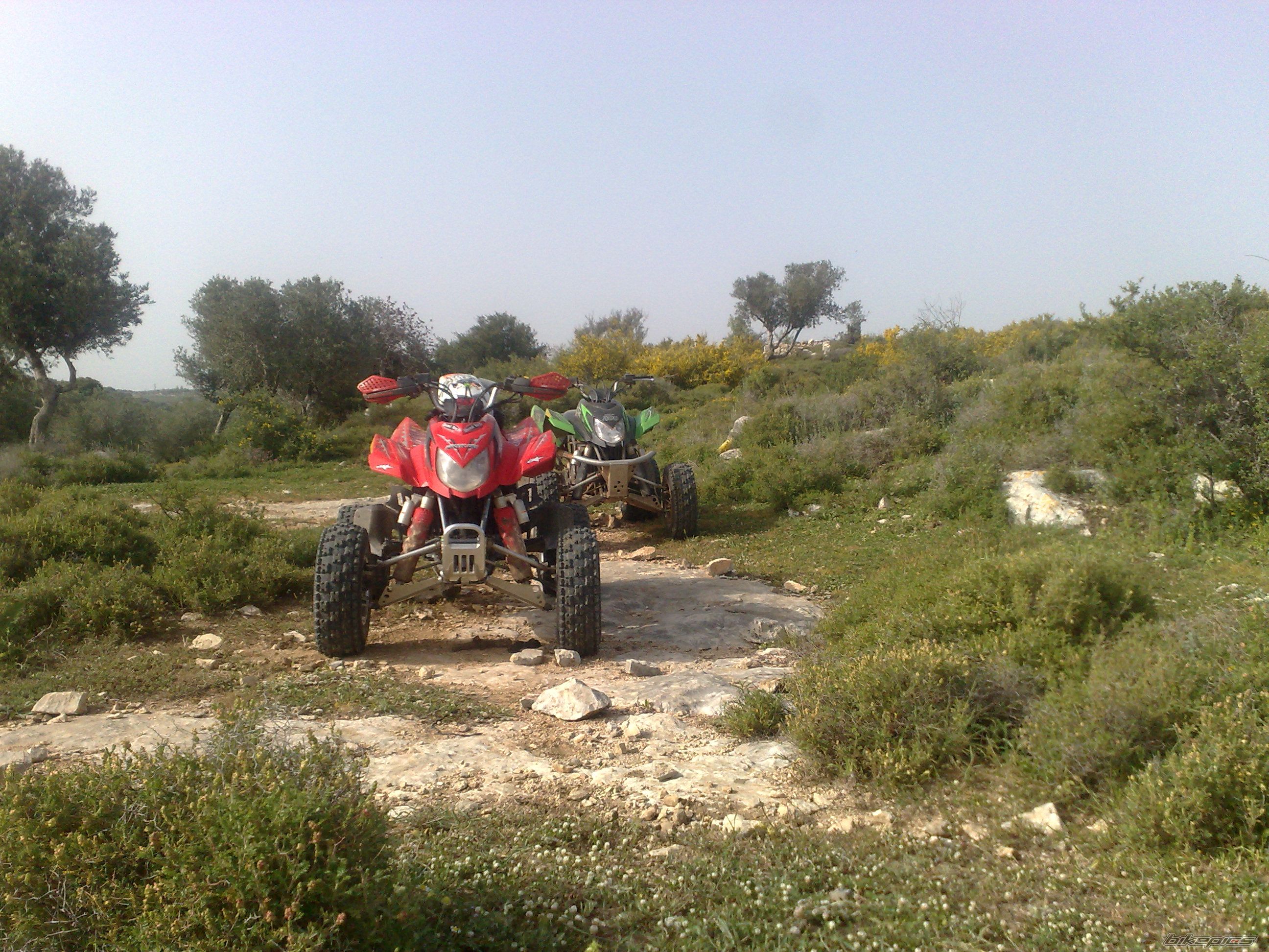 Photo 1637986