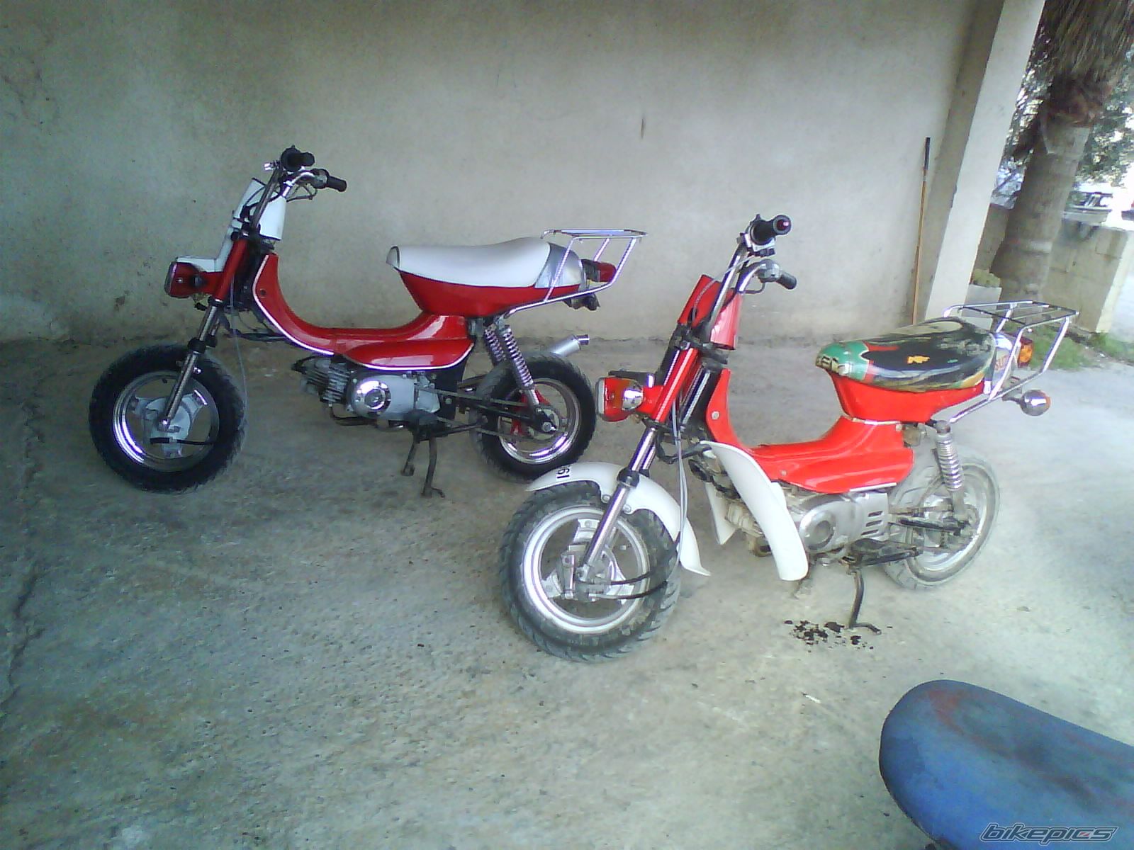 Photo 1638239