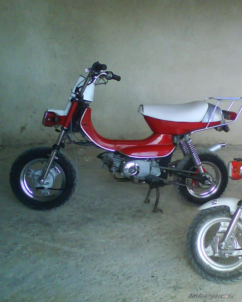 Photo 1638240
