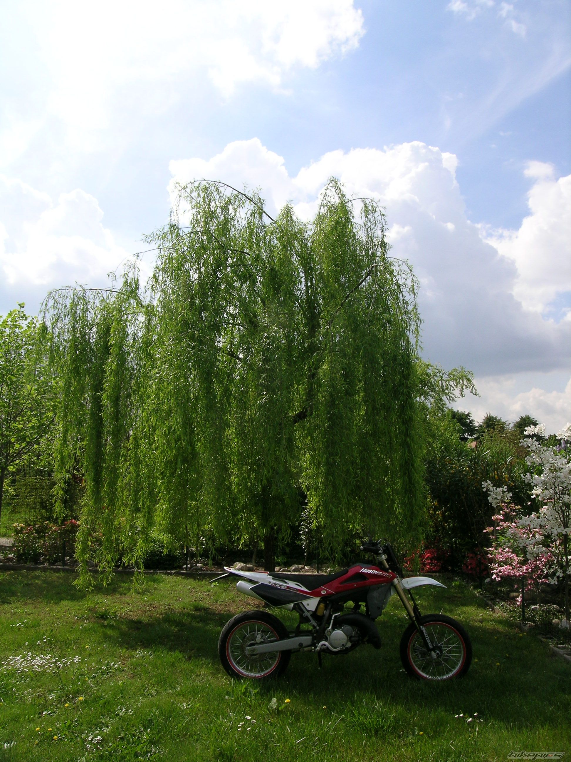 Bike Photo 1638241
