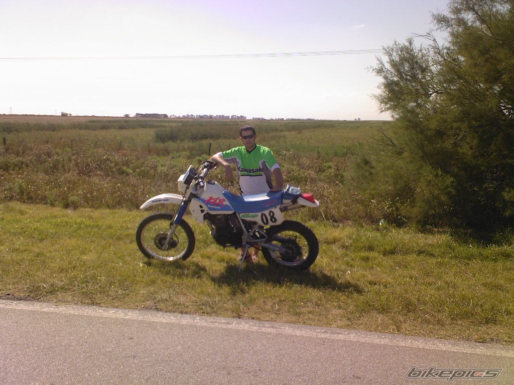 Photo 1638266