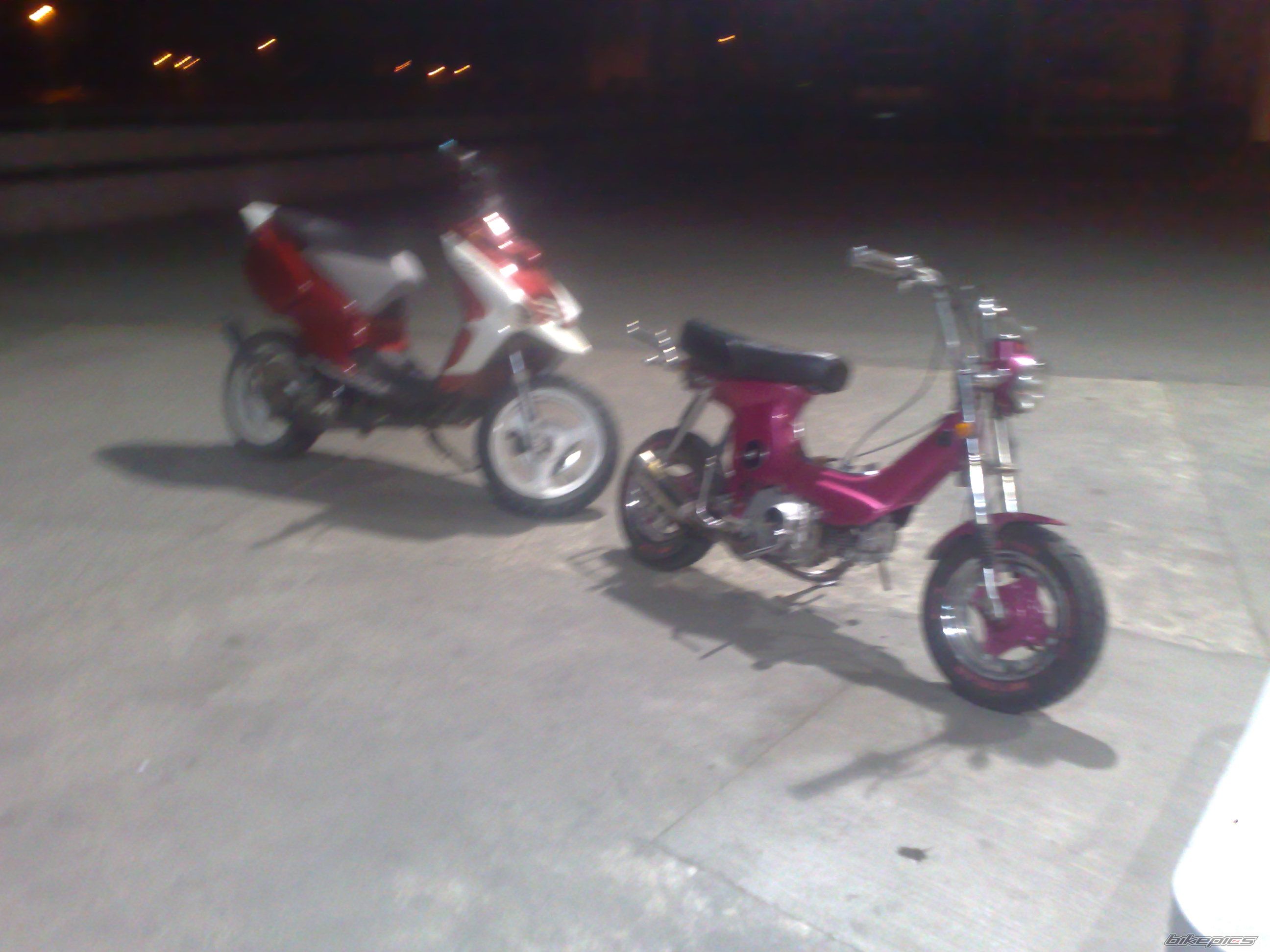 Photo 1638275
