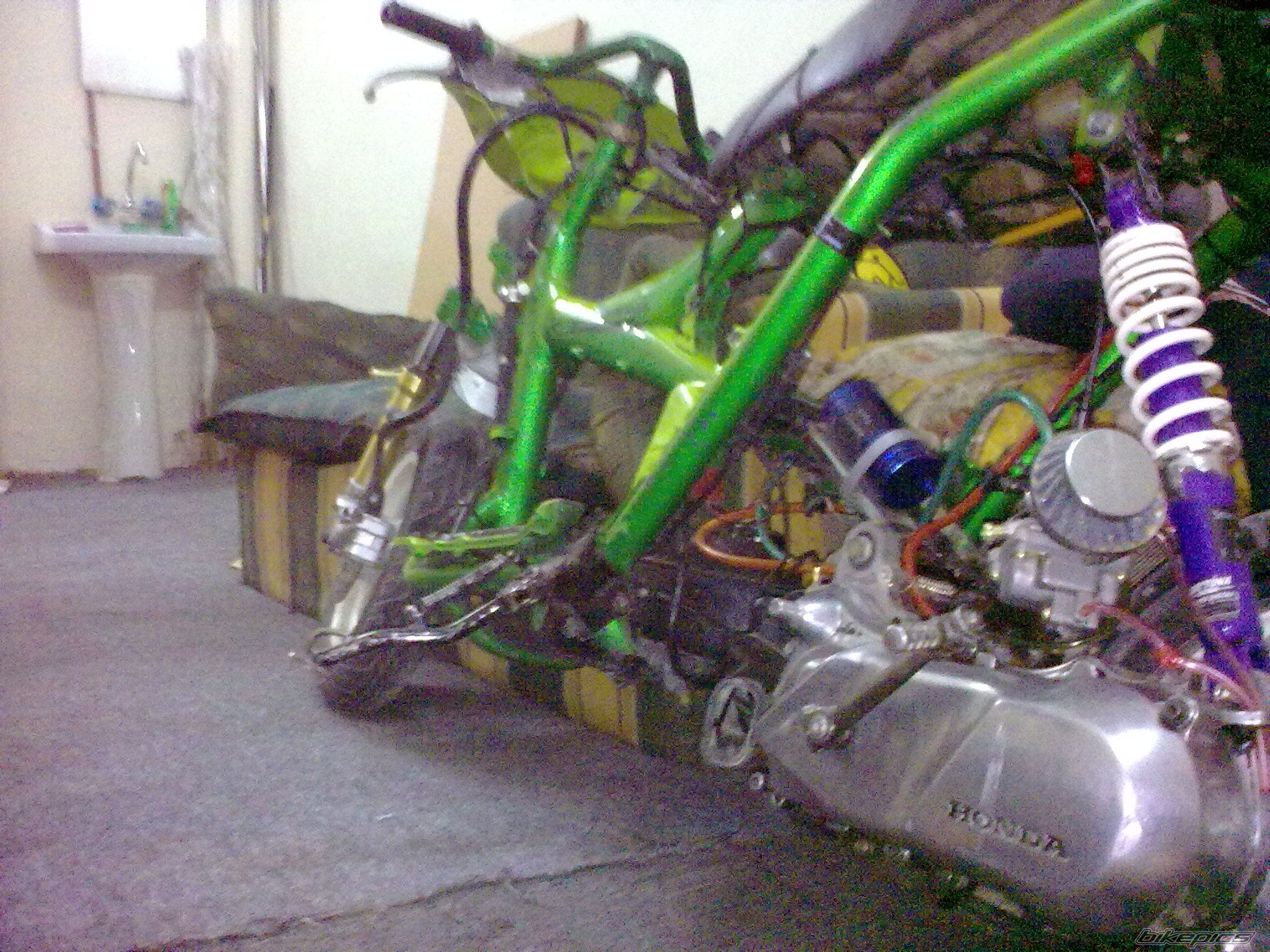 Photo 1638361