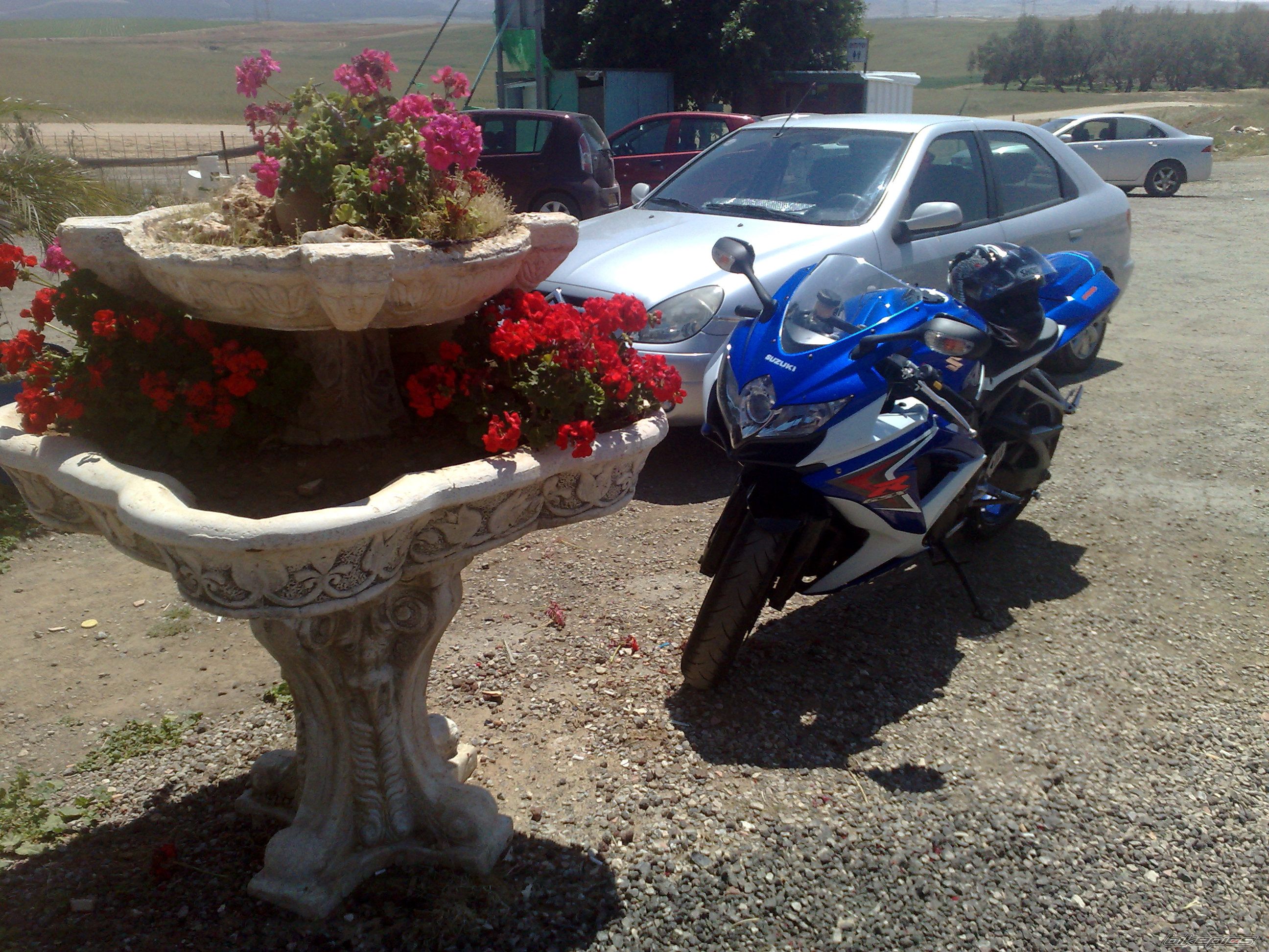 Photo 1638405