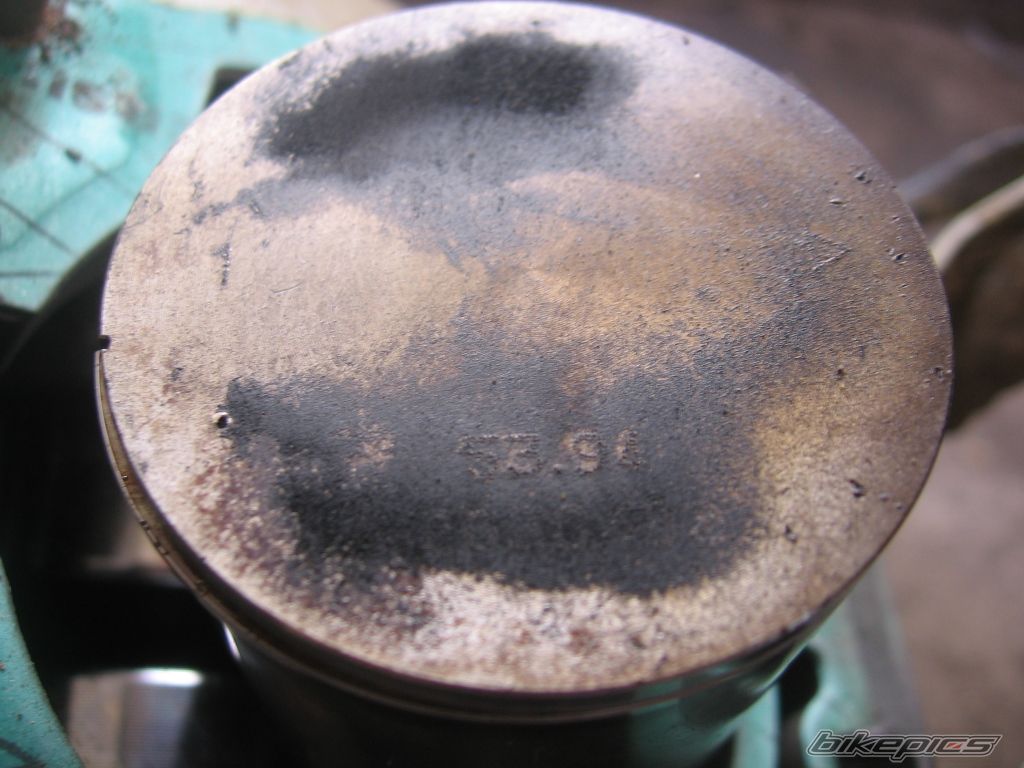Photo 1638514