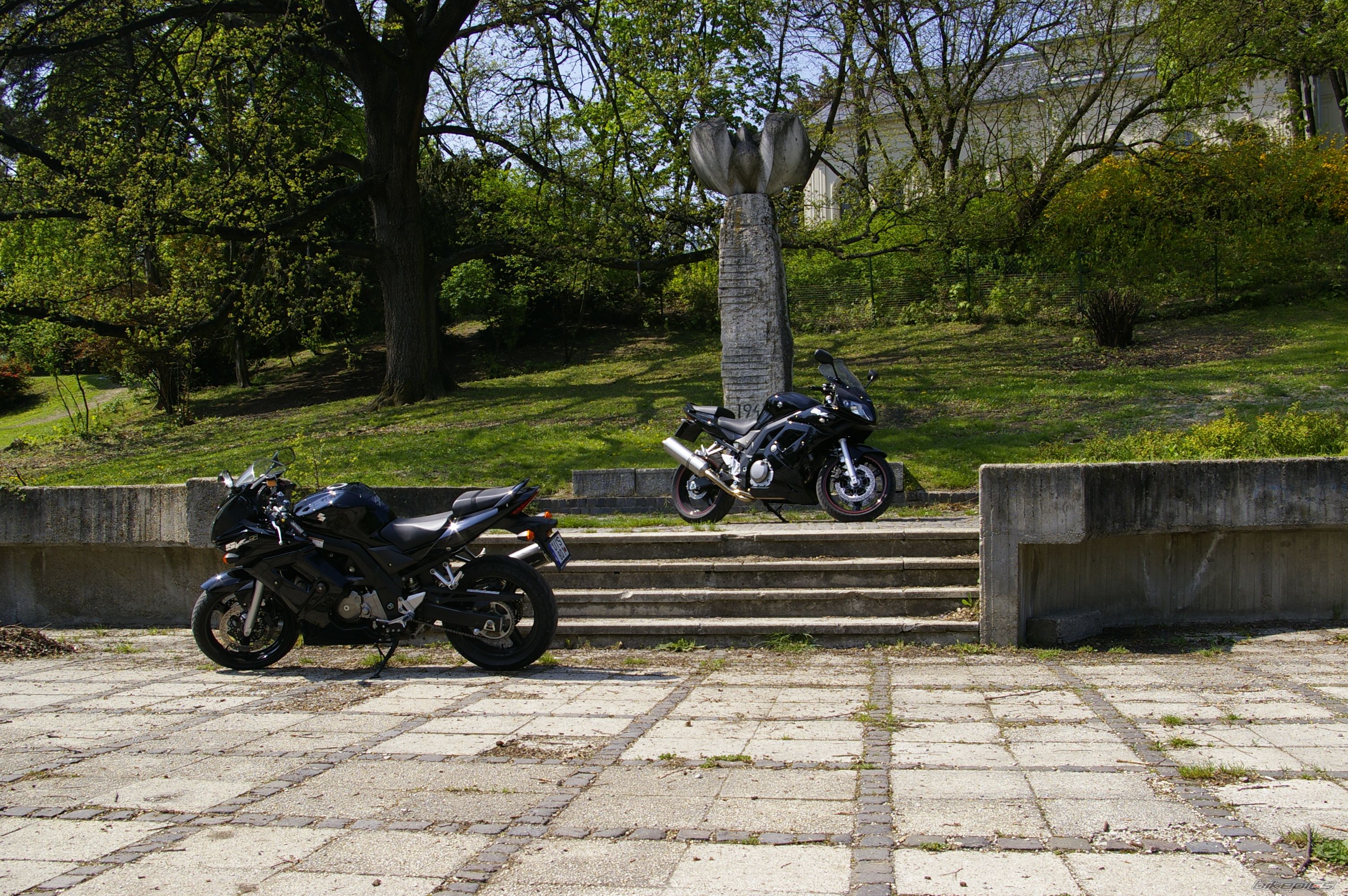 Photo 1638538