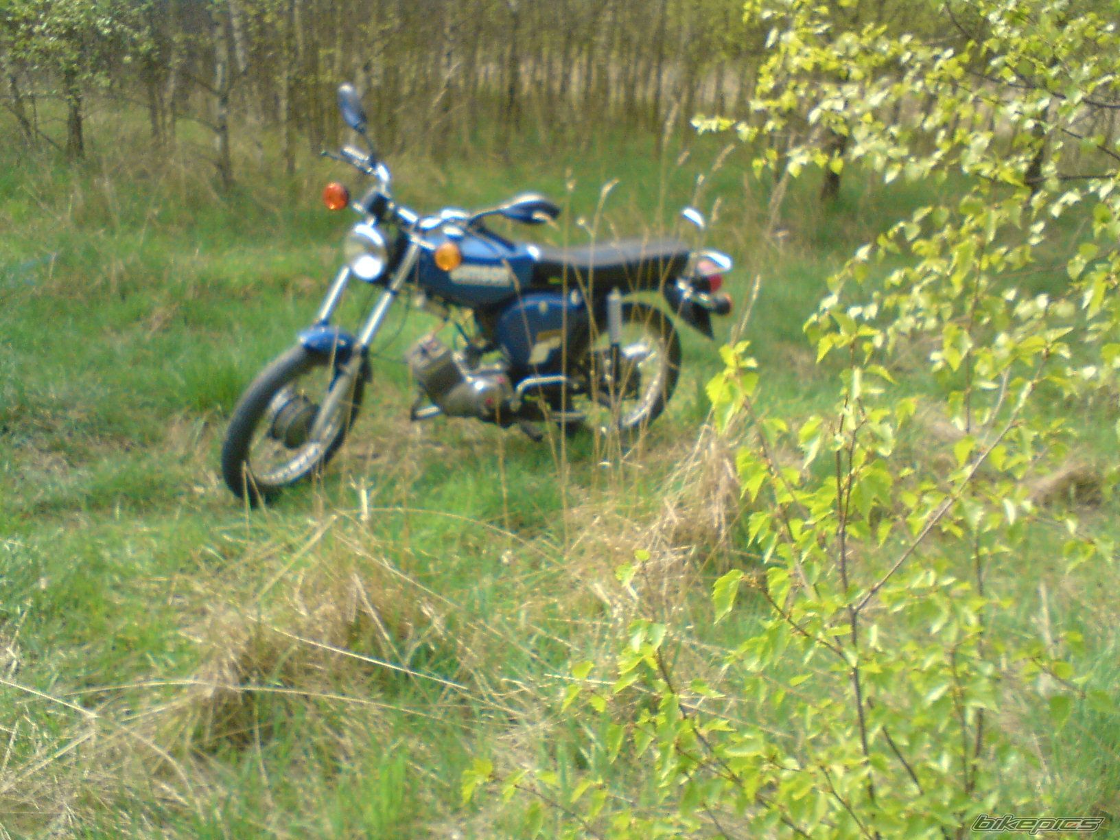 Photo 1638669