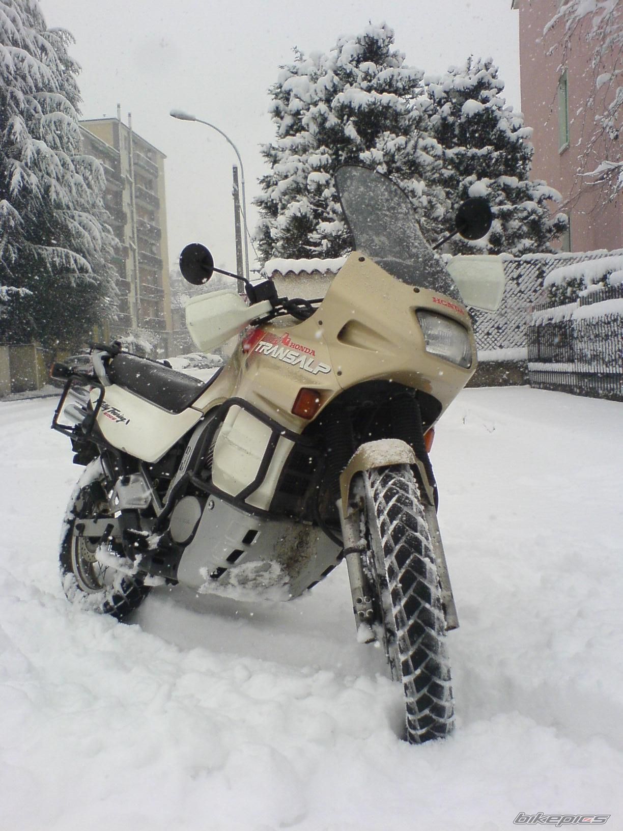 Photo 1638671