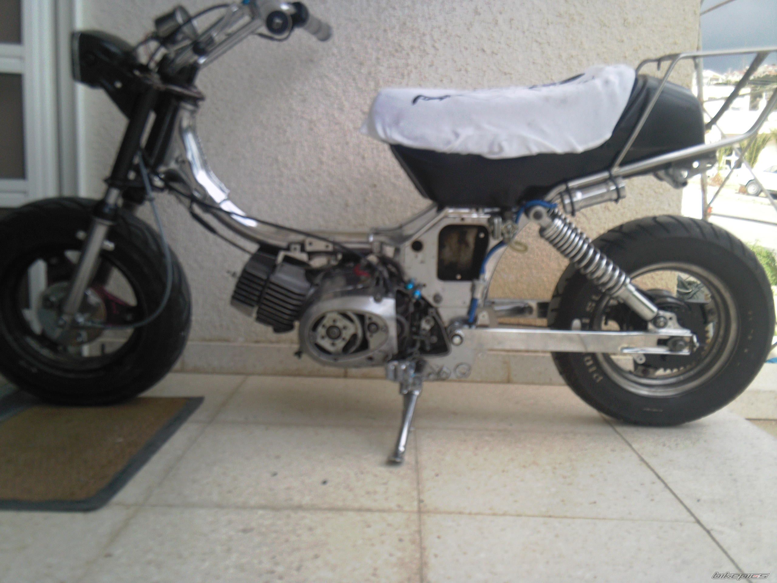 Photo 1638742