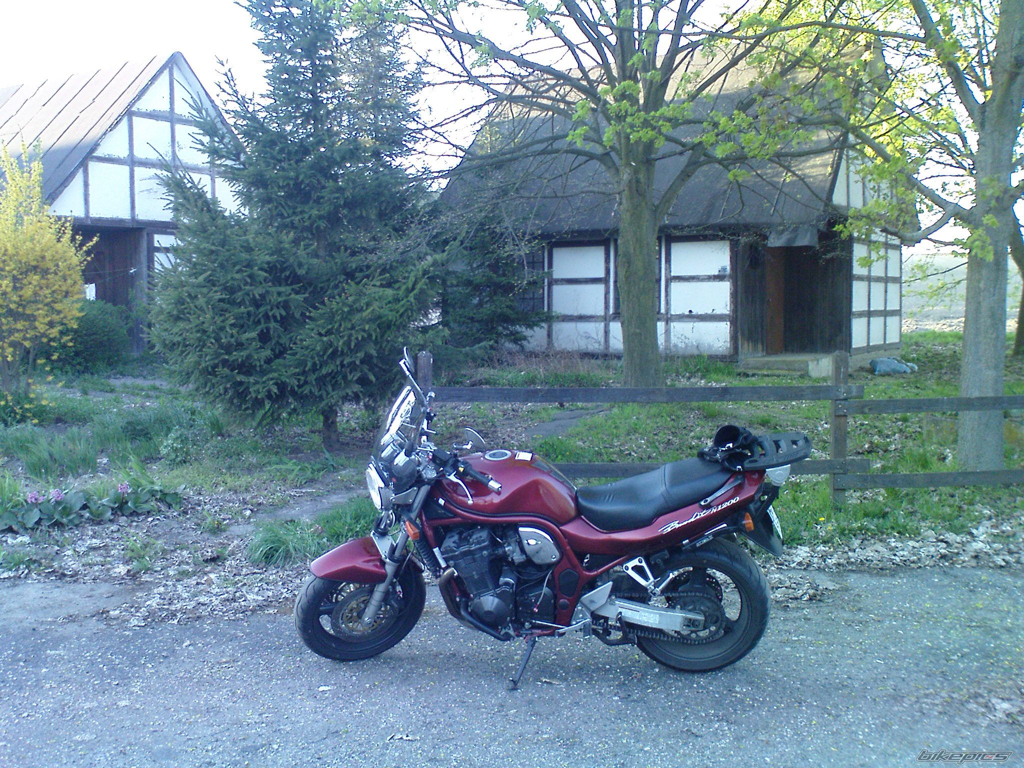 Photo 1638781