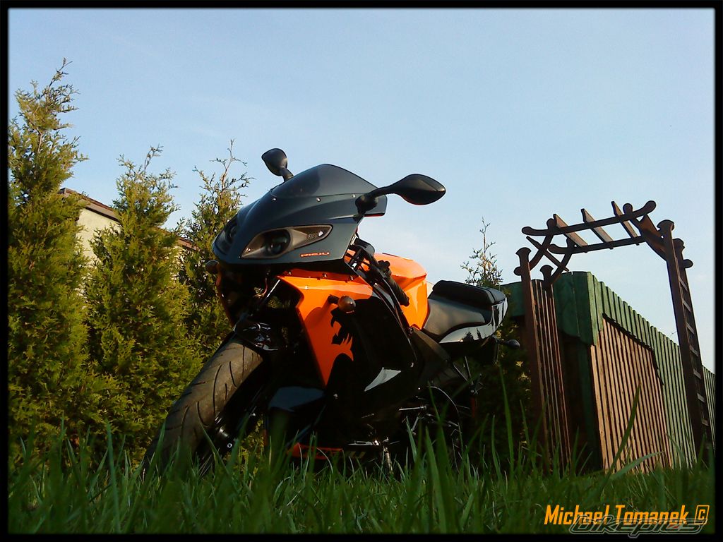Photo 1638901