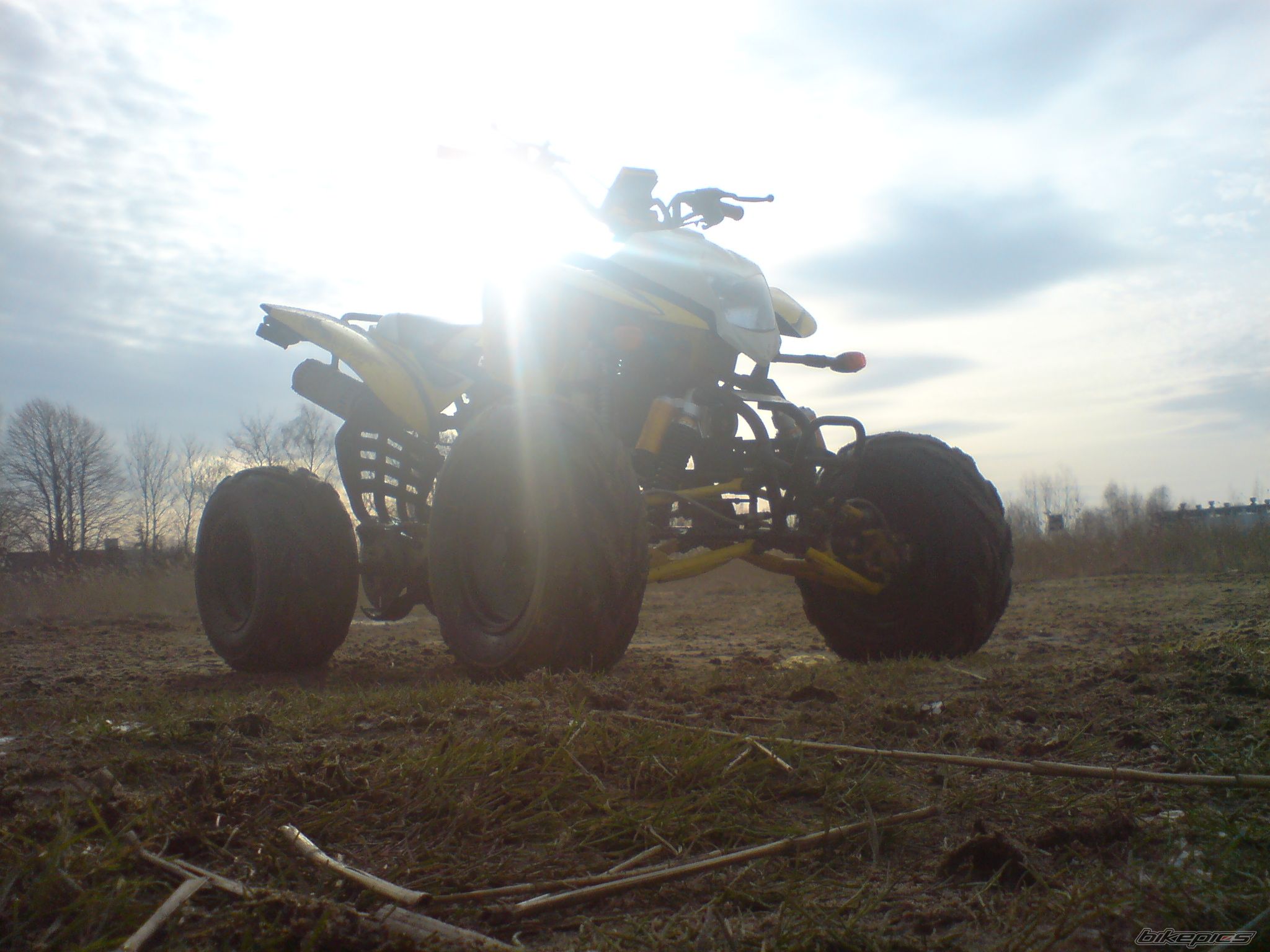 Photo 1638987