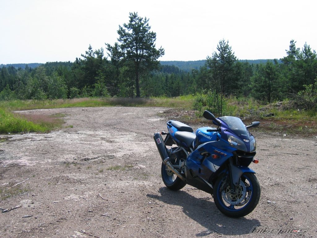 Photo 1639131