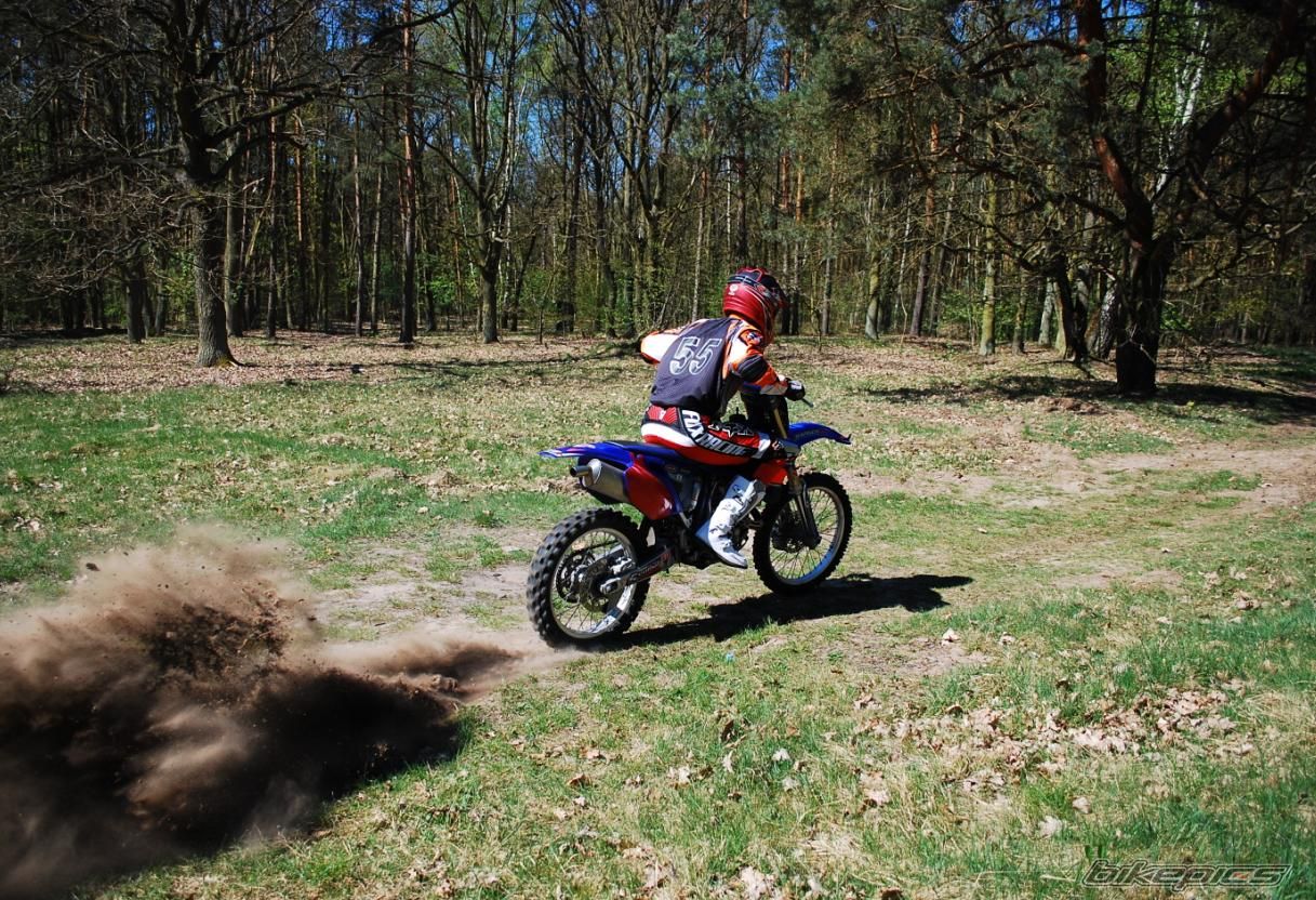 Photo 1639216