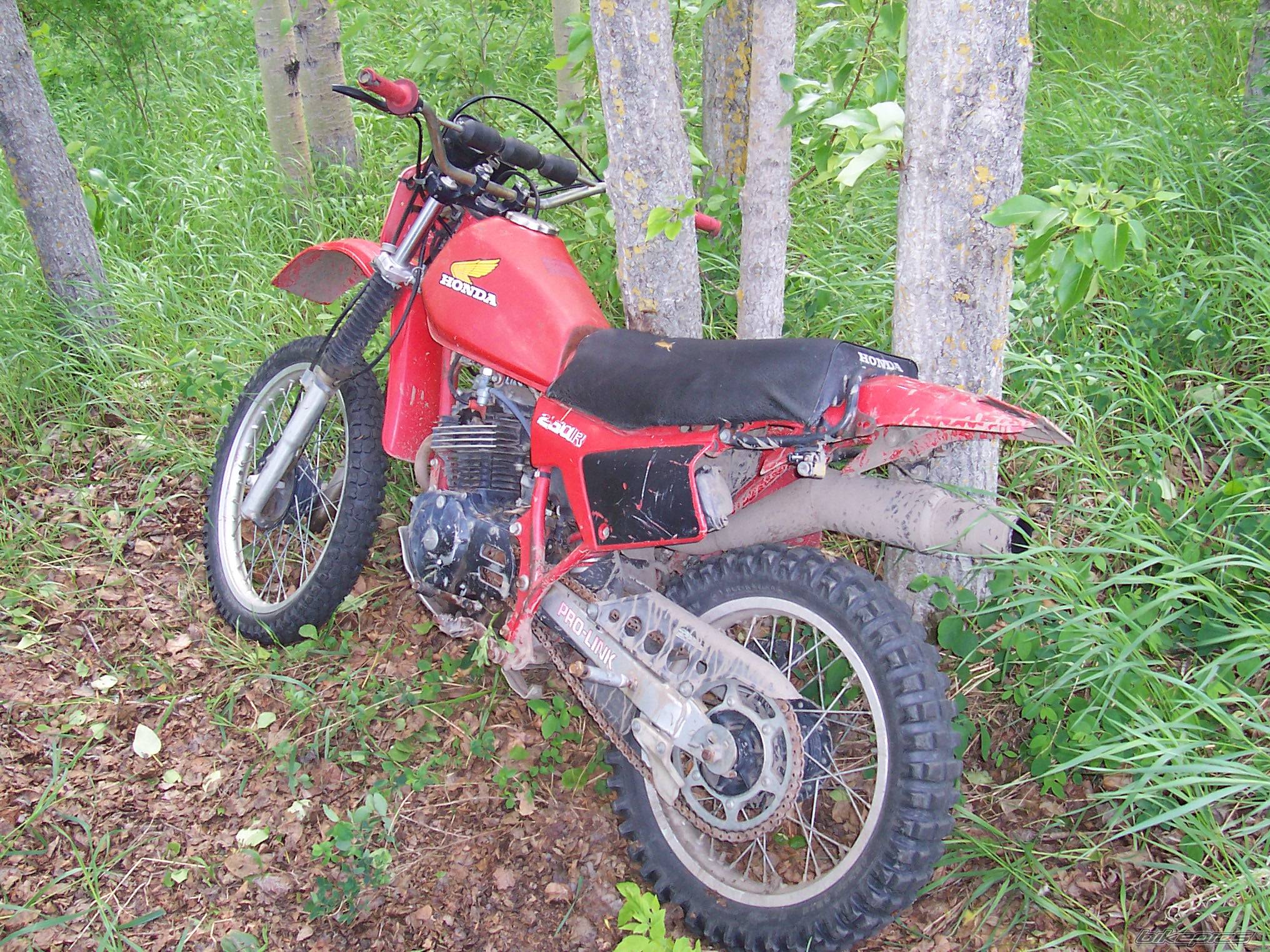 Photo 163925