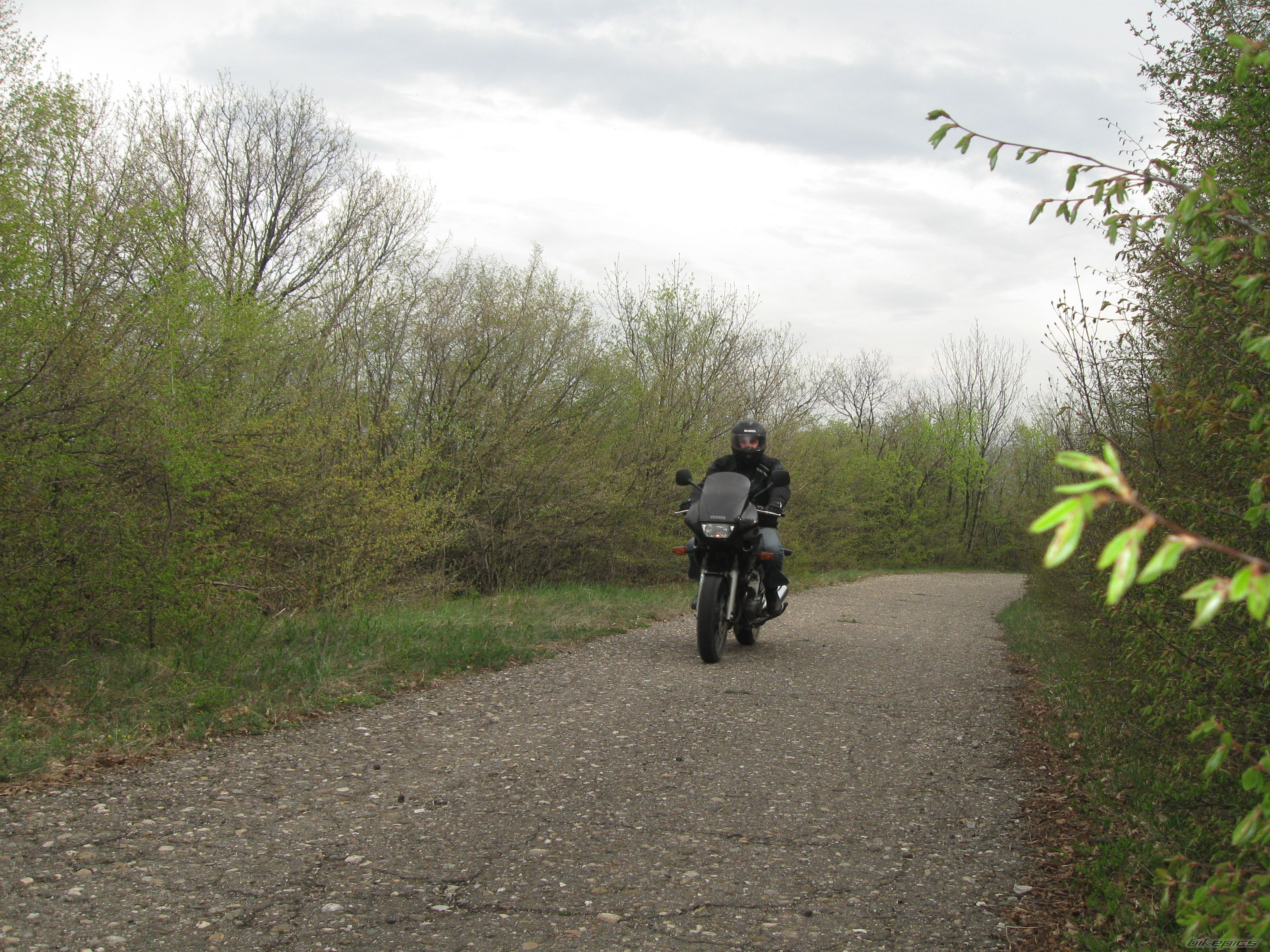 Bike Photo 1639296