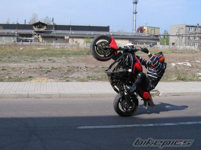 Photo 1639391
