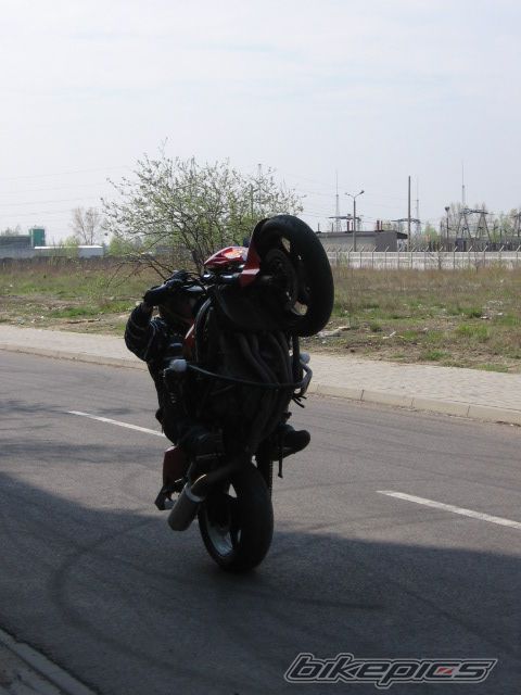 Photo 1639394