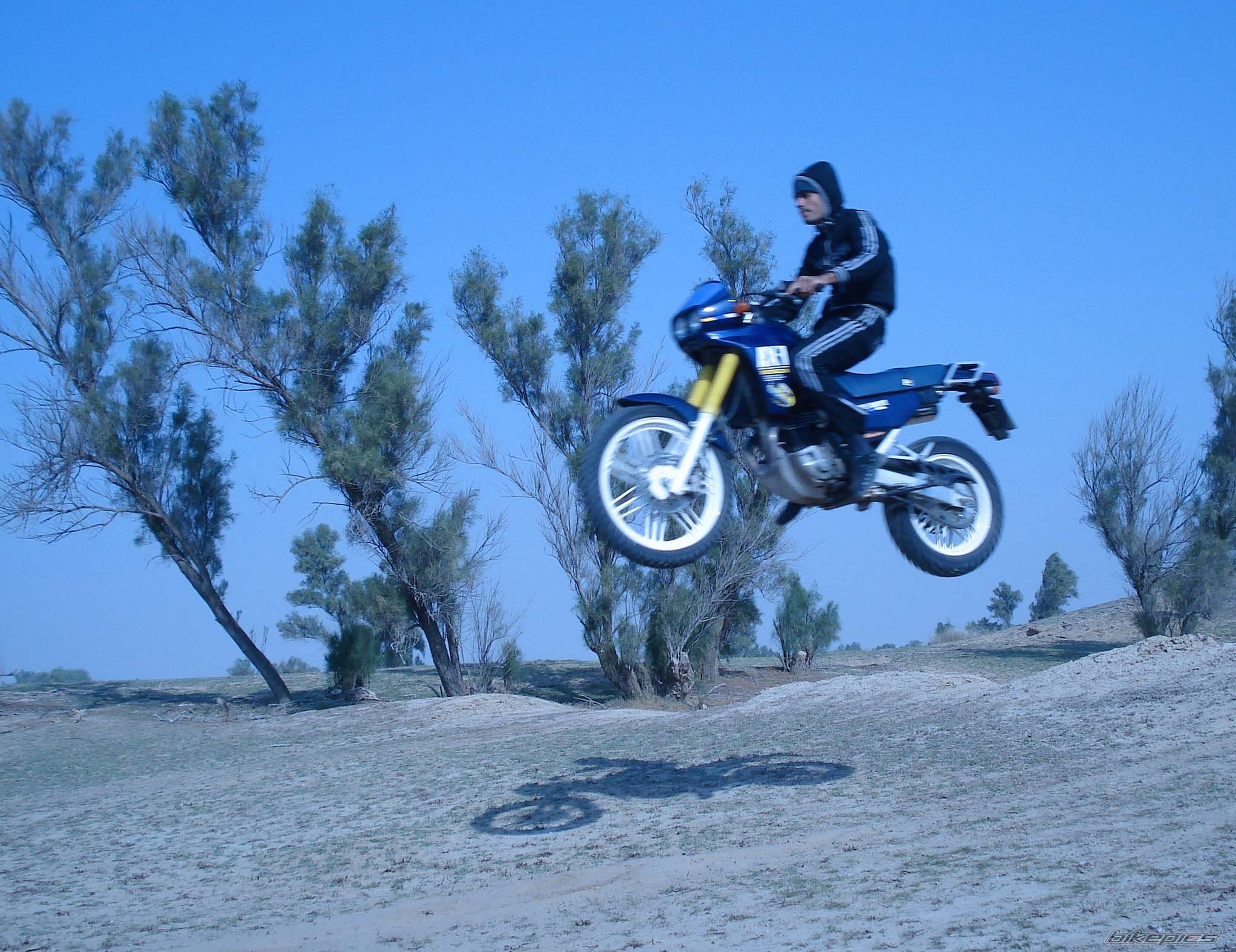 Bike Photo 1639445