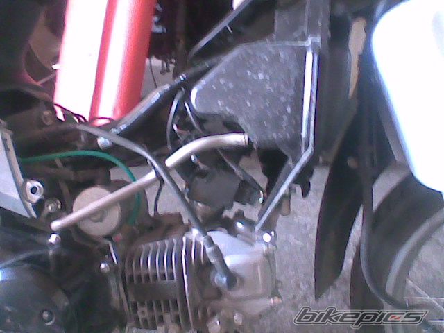 Photo 1639497