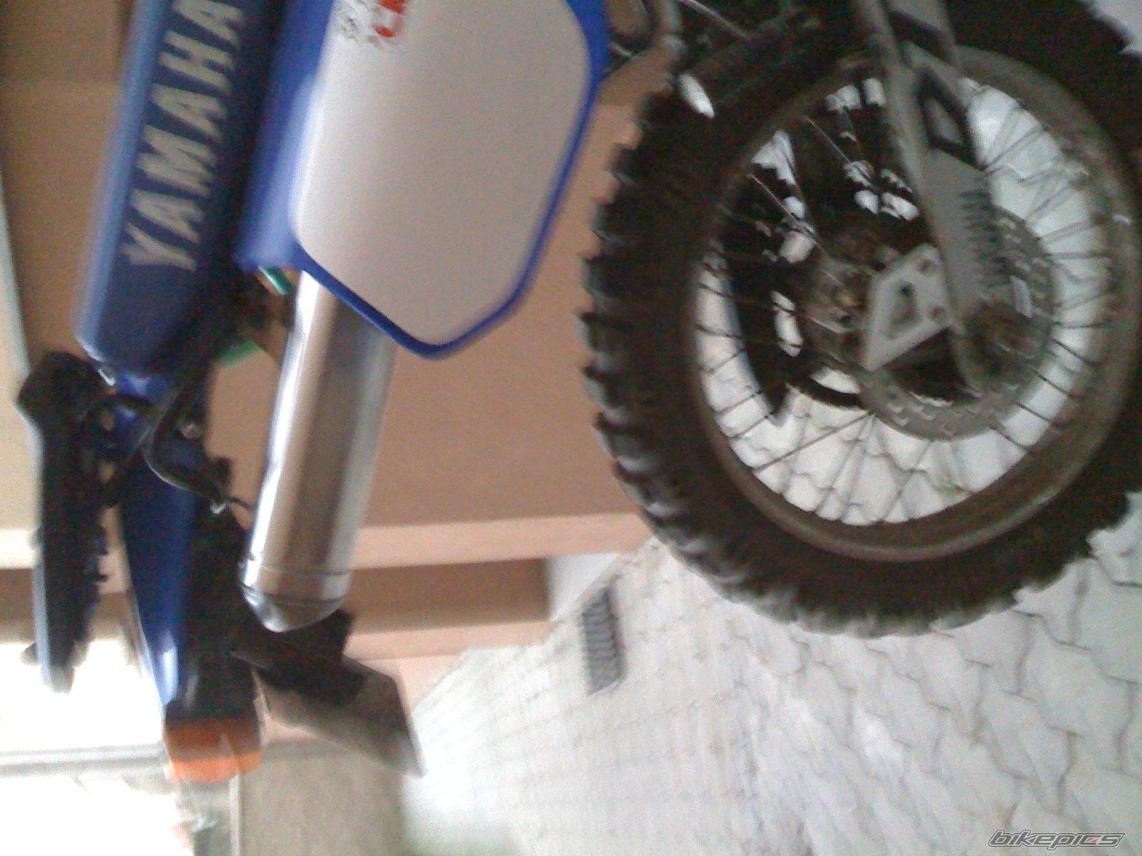 Photo 1639519