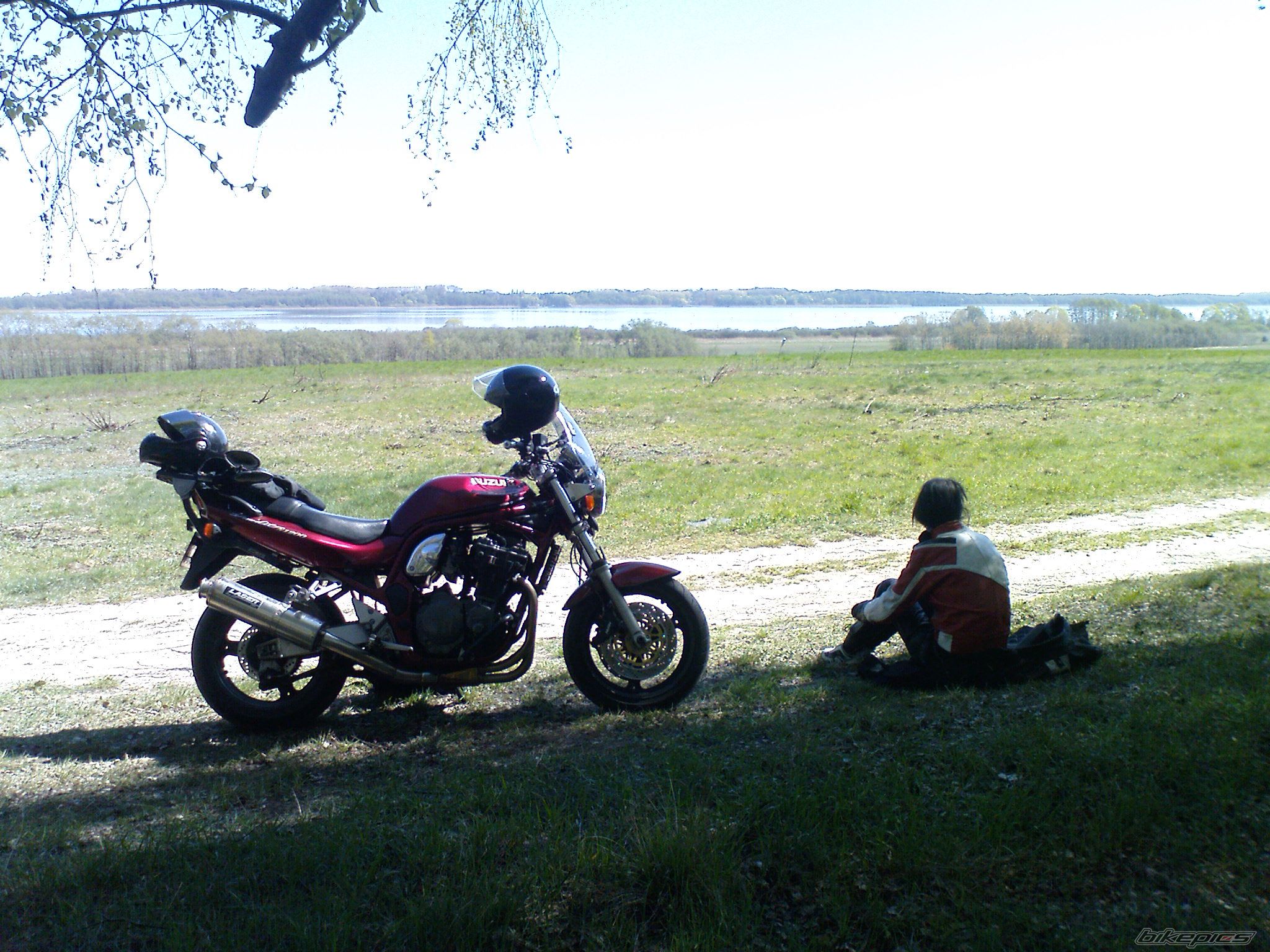 Photo 1639554