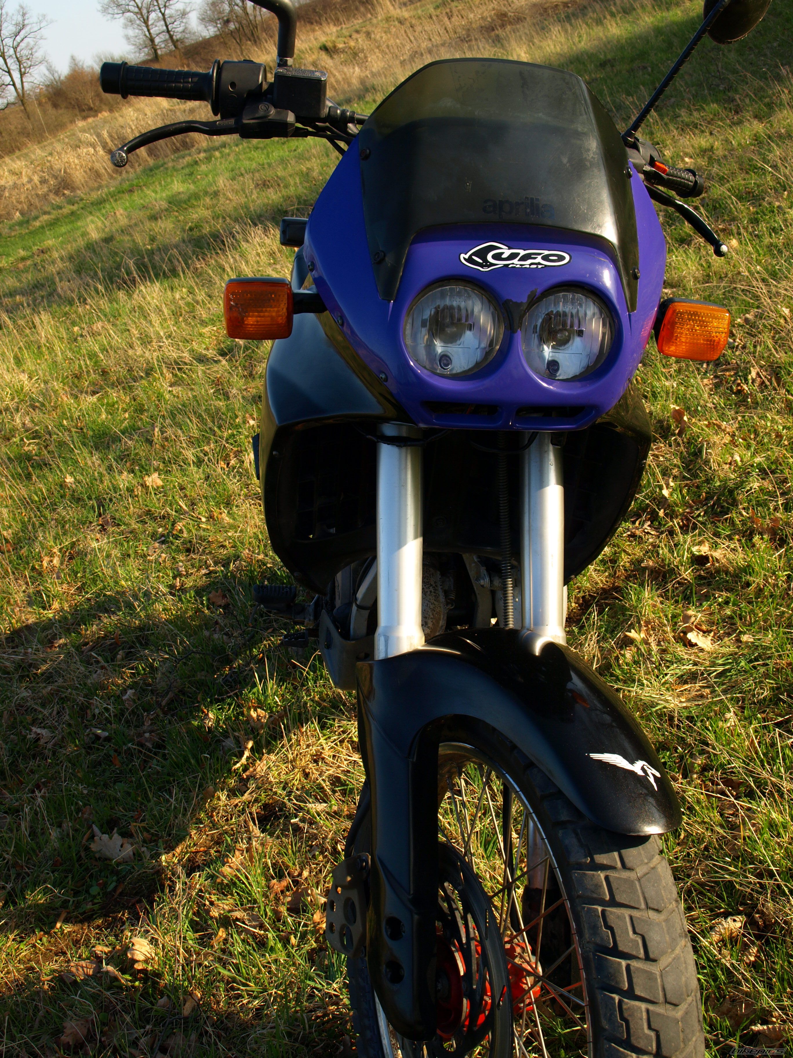 Photo 1639583