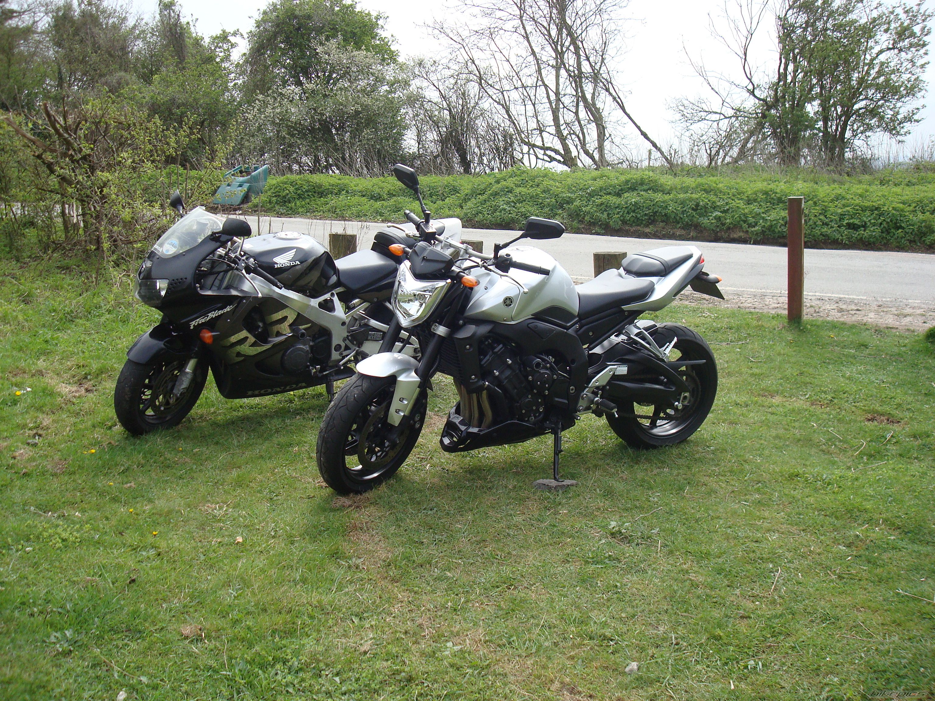 Photo 1639595