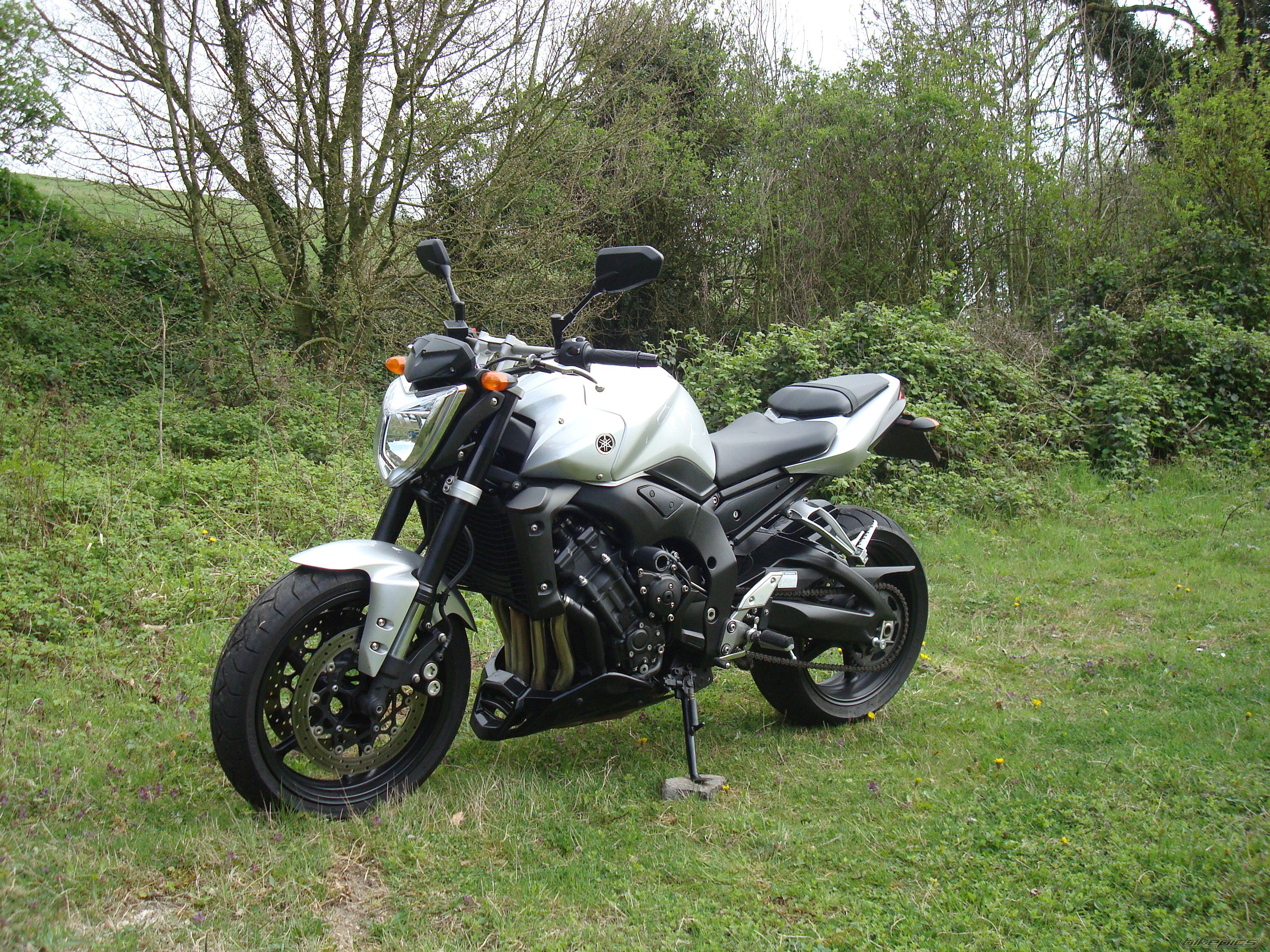 Photo 1639606