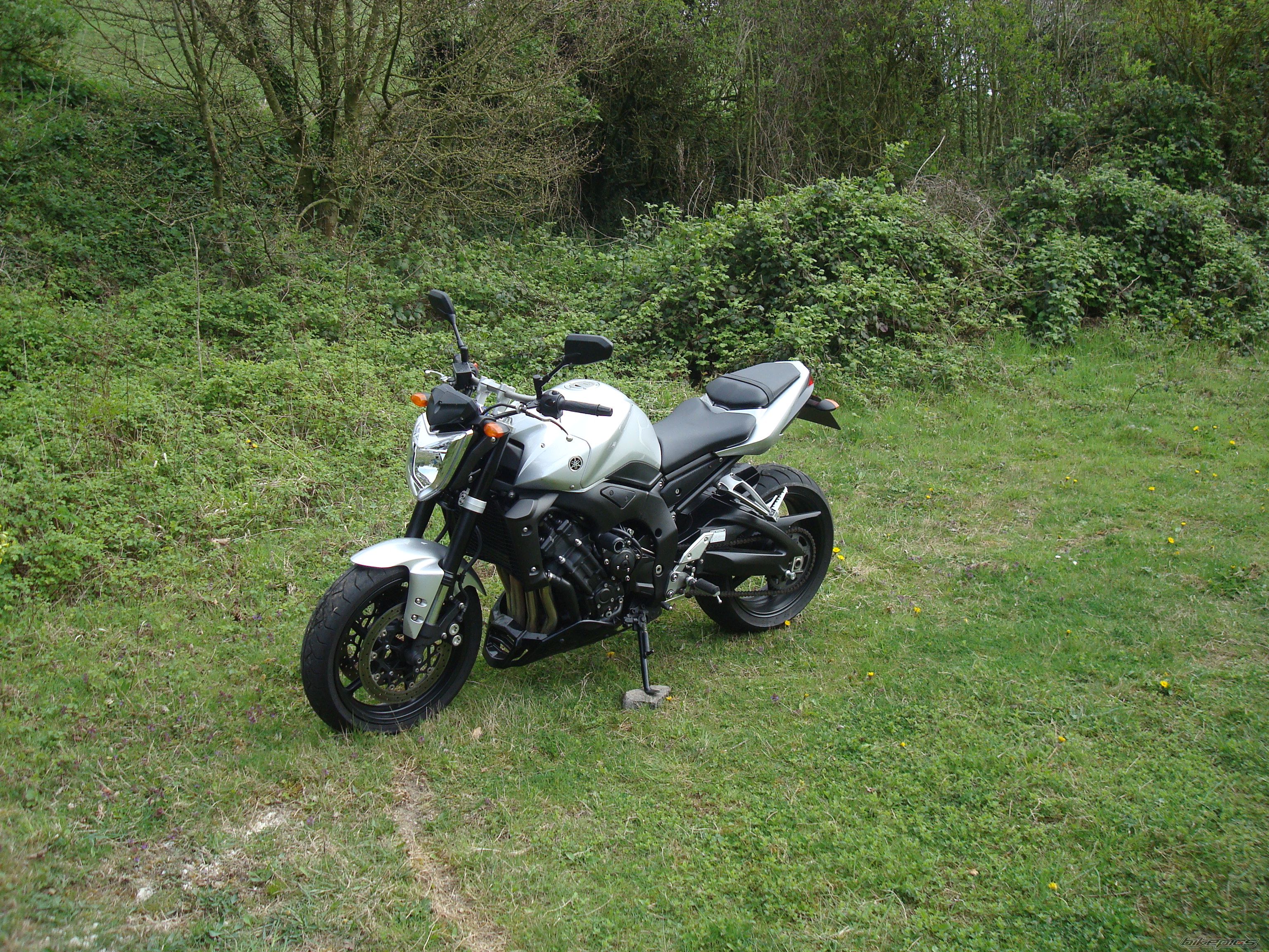 Photo 1639611