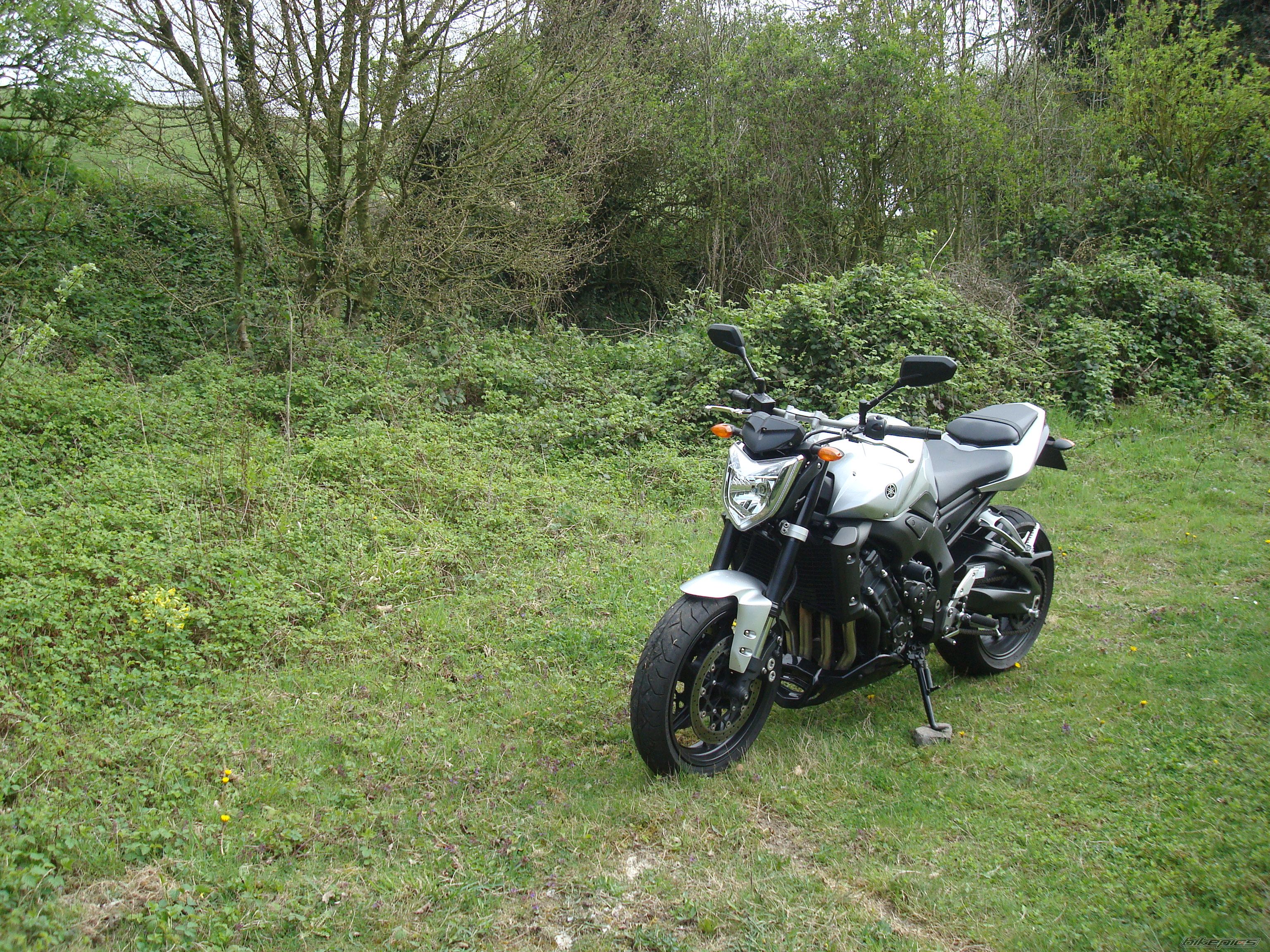 Photo 1639614