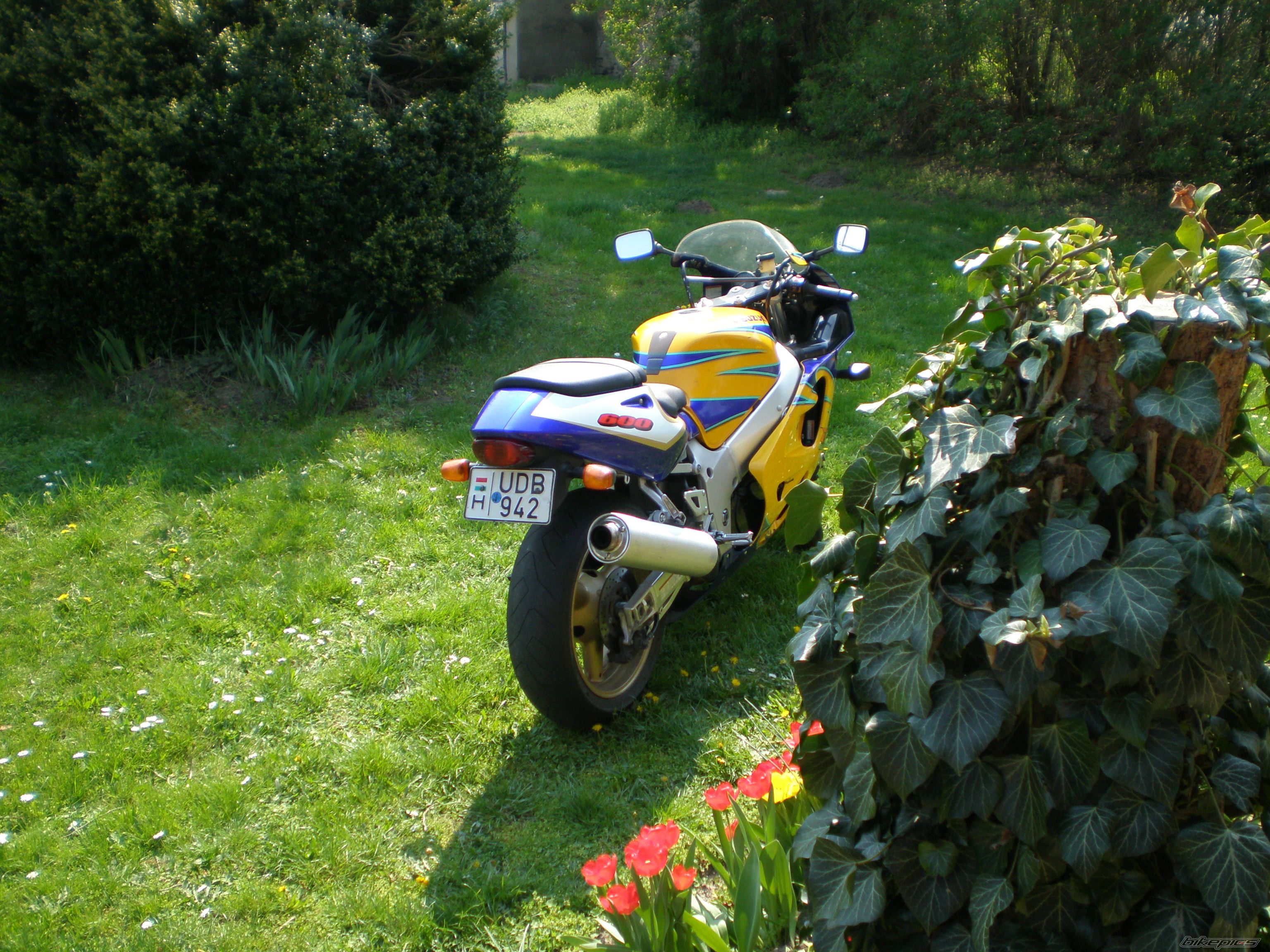 Bike Photo 1639641