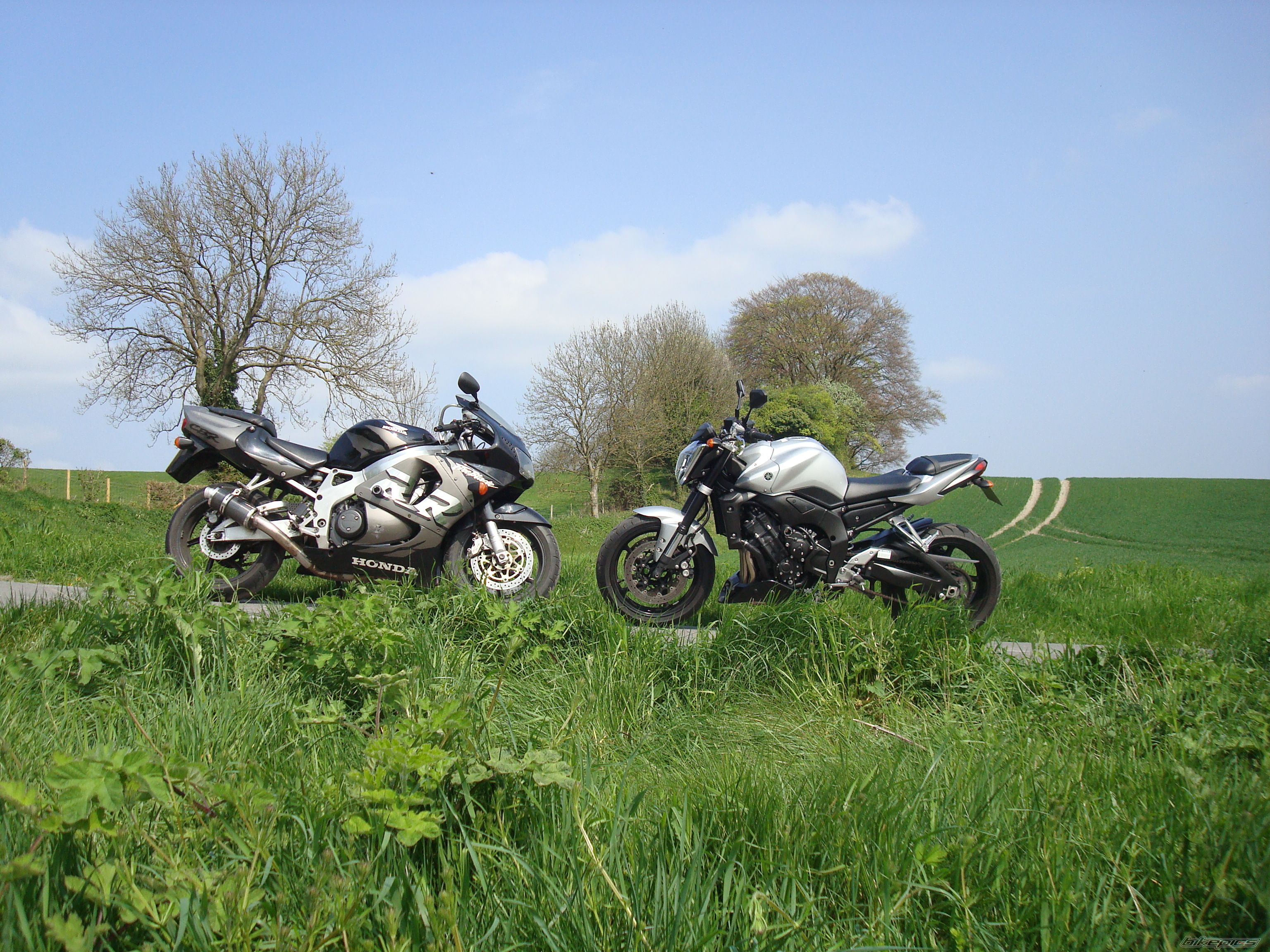 Photo 1639645