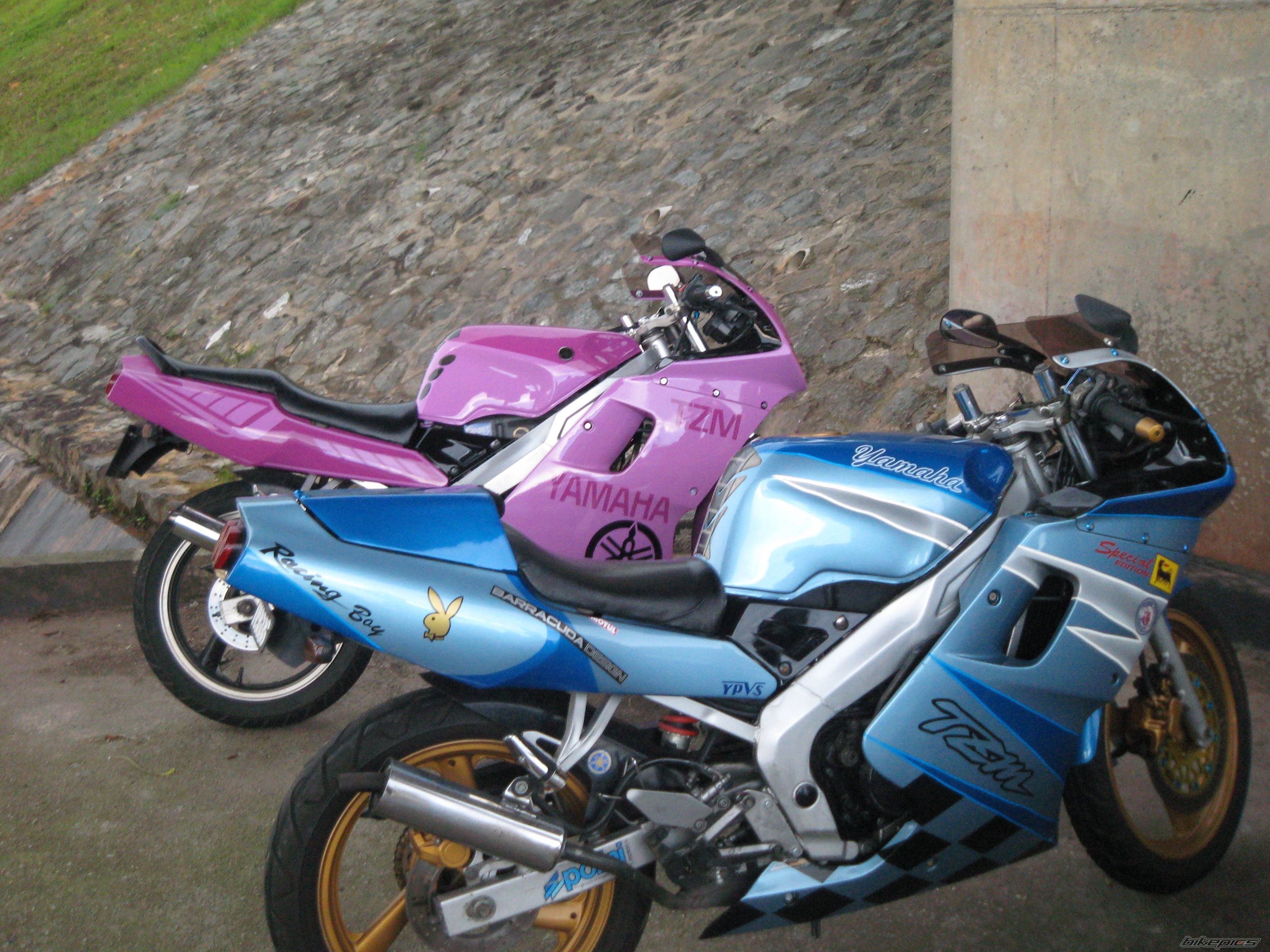 Photo 1639660