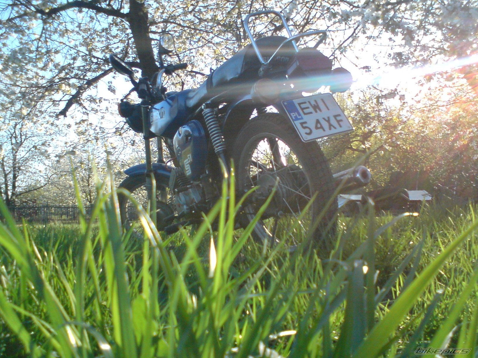 Photo 1639706
