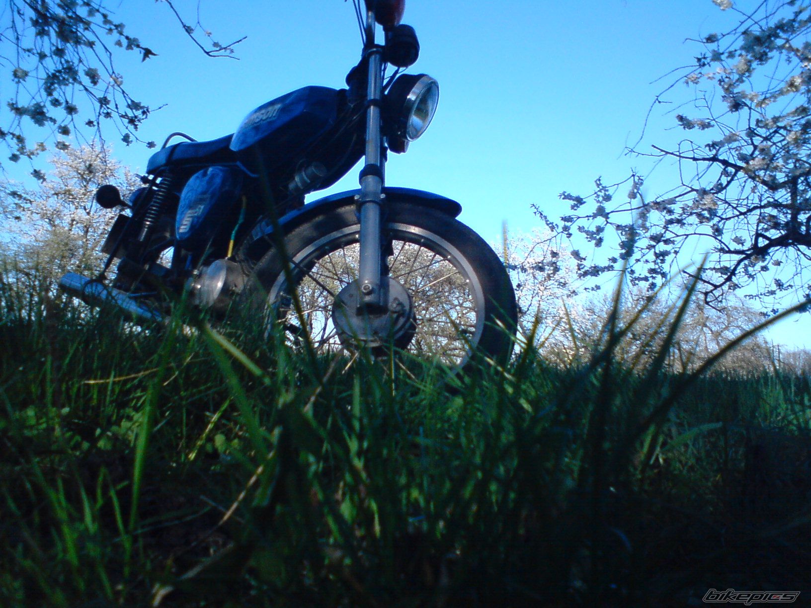 Photo 1639707