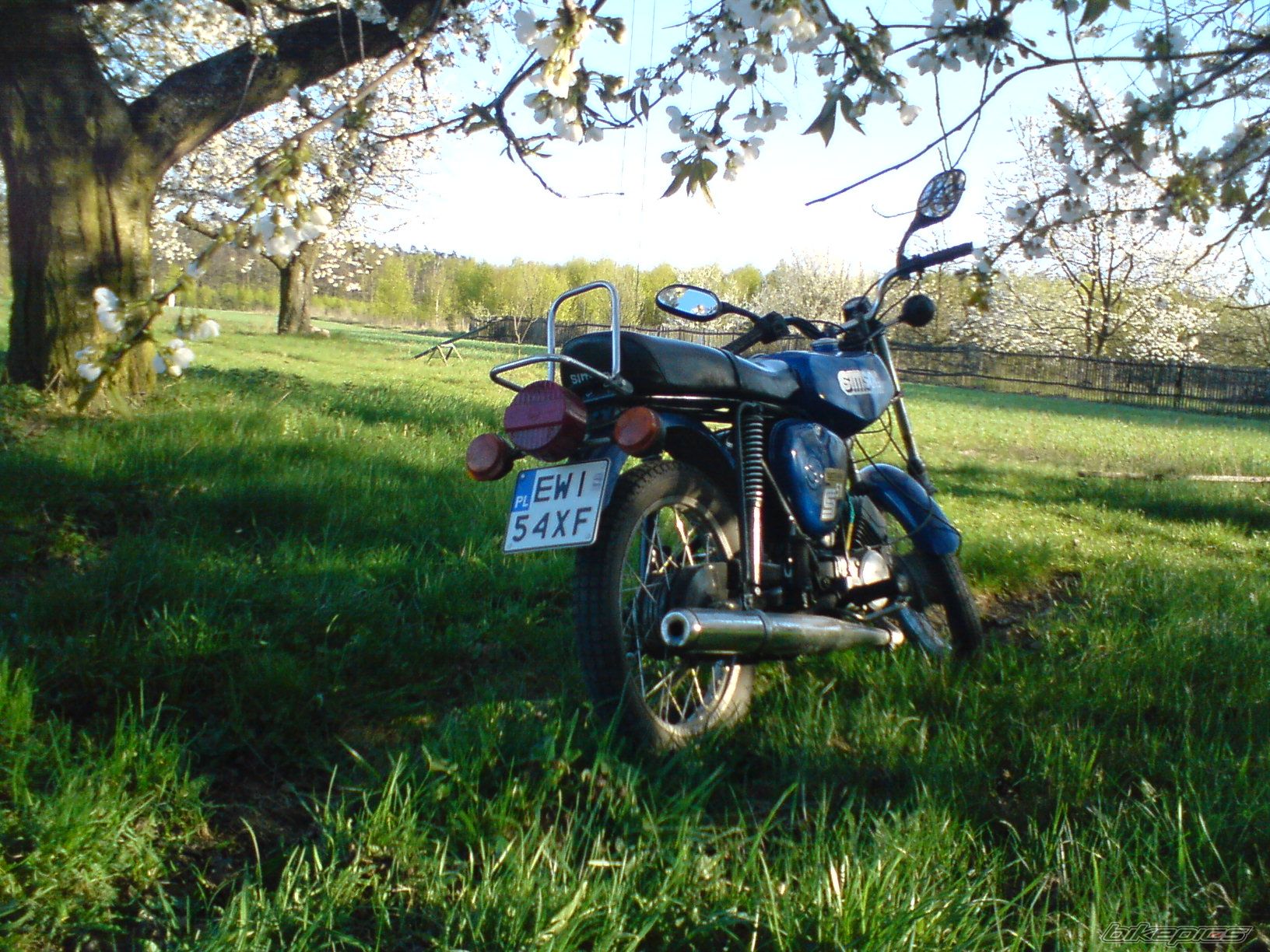 Photo 1639708