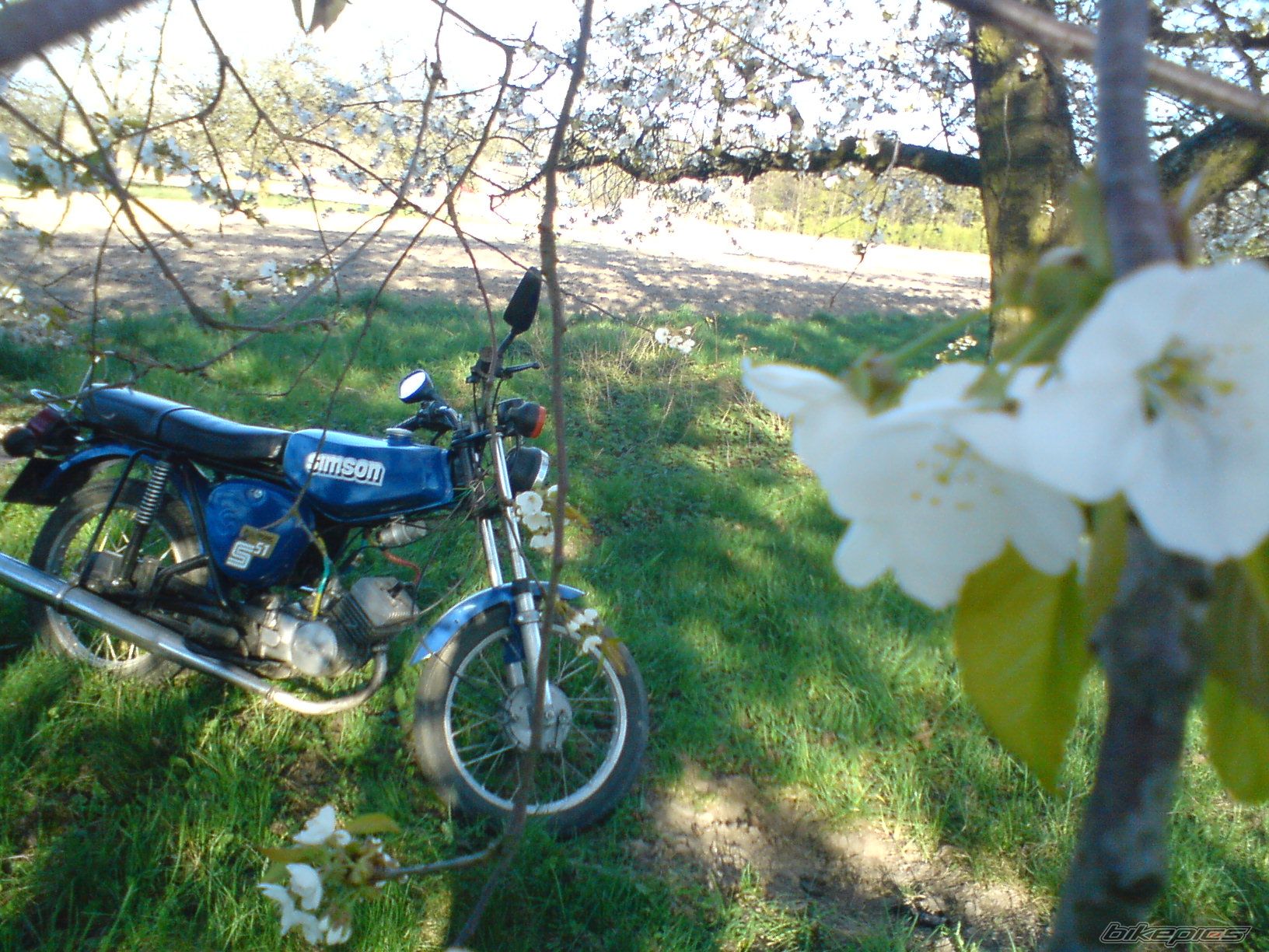 Photo 1639709