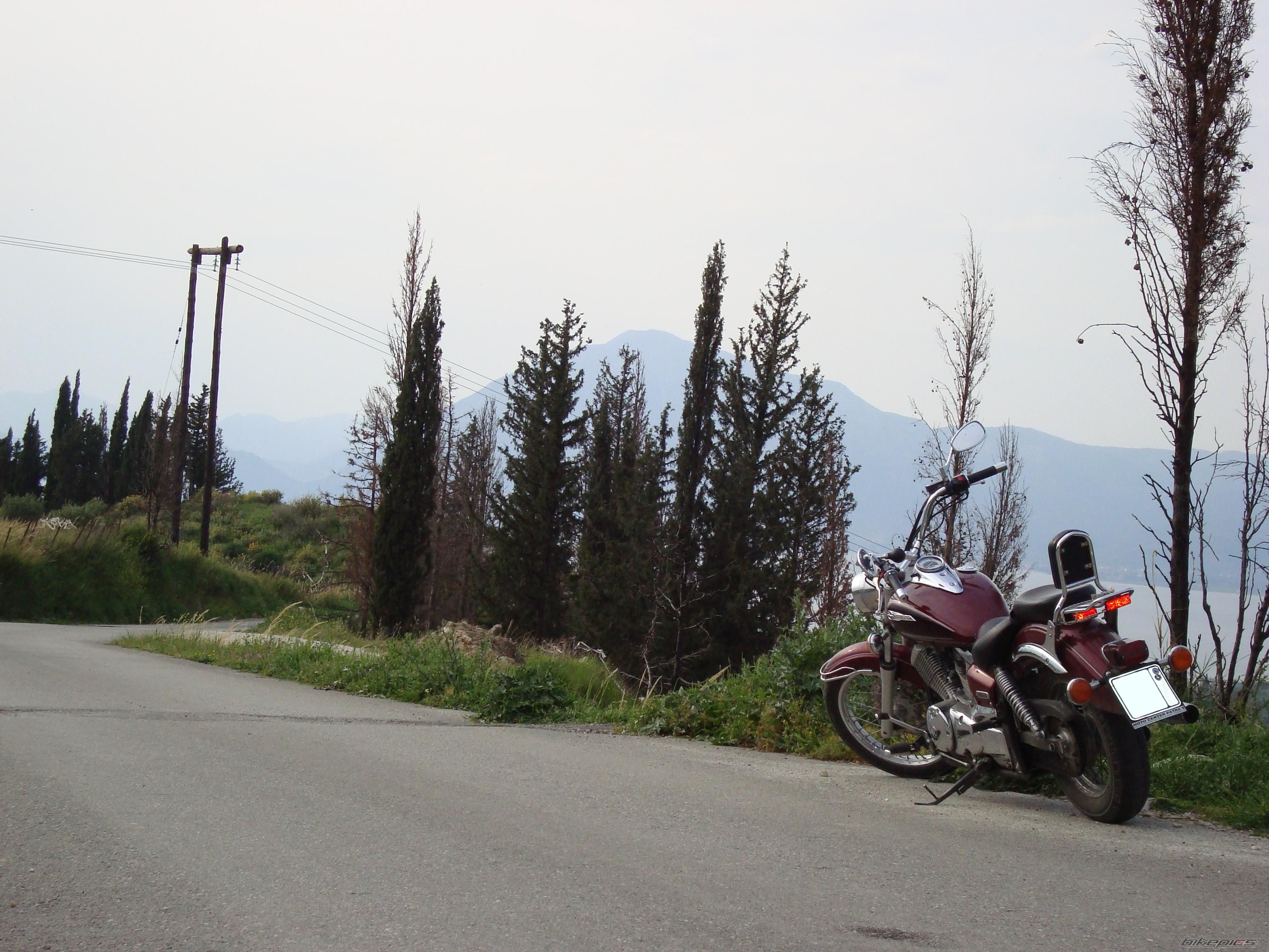 Photo 1639823