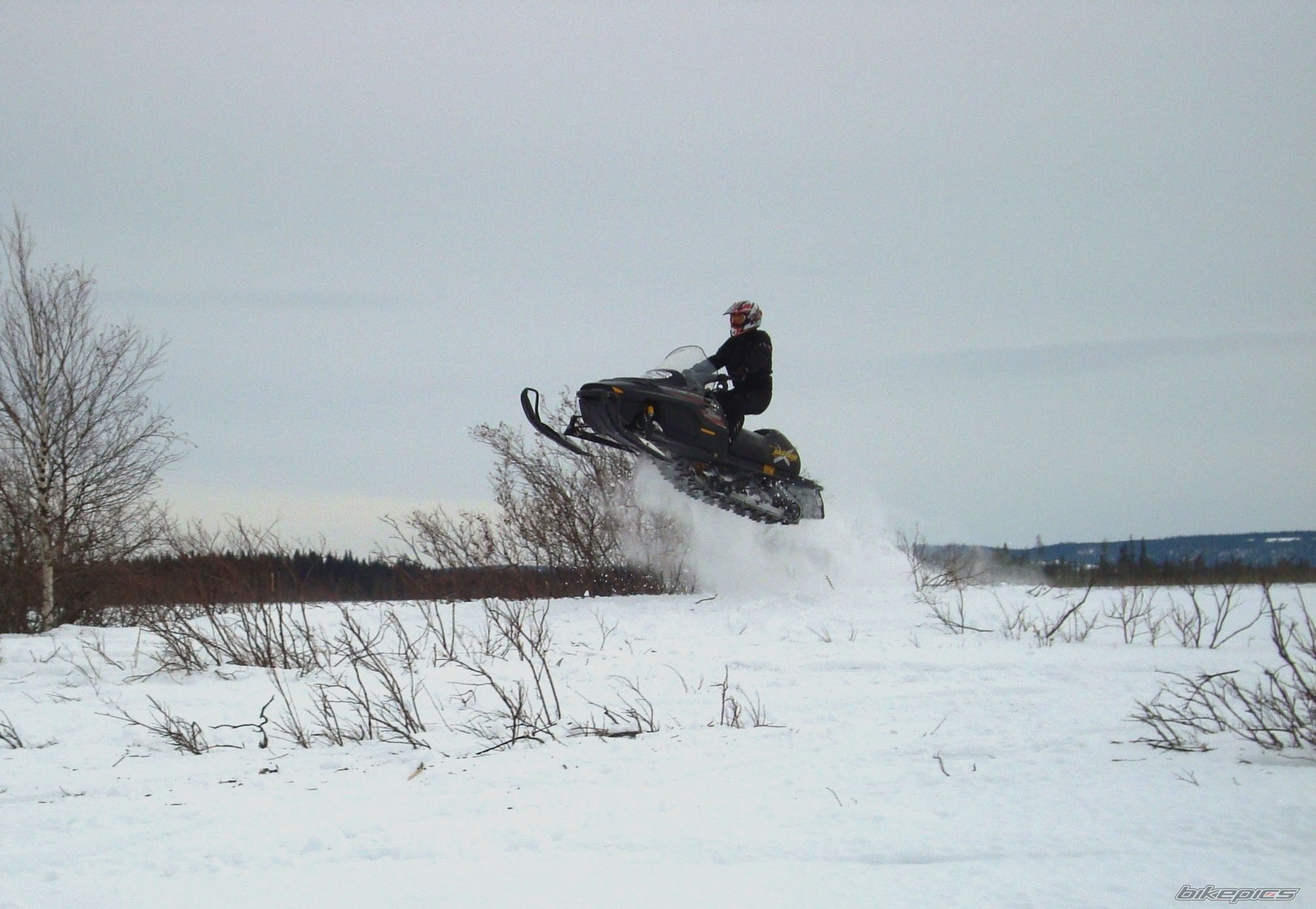 Photo 1639836