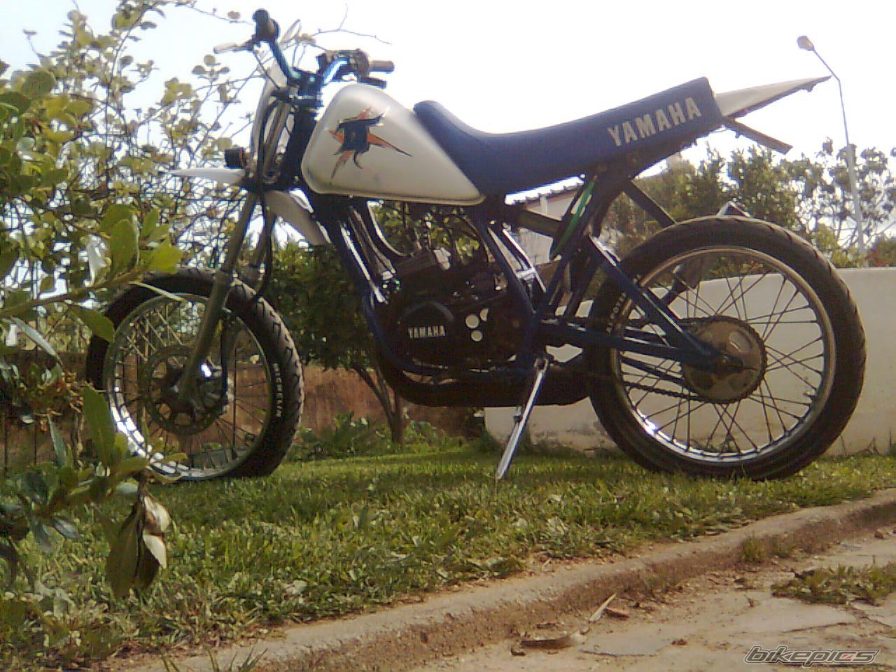 Photo 1639877