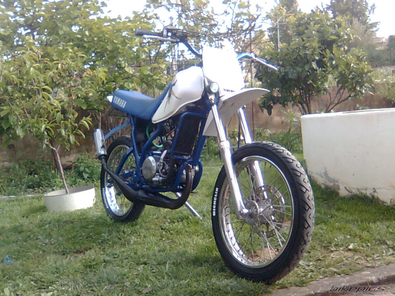 Photo 1639879