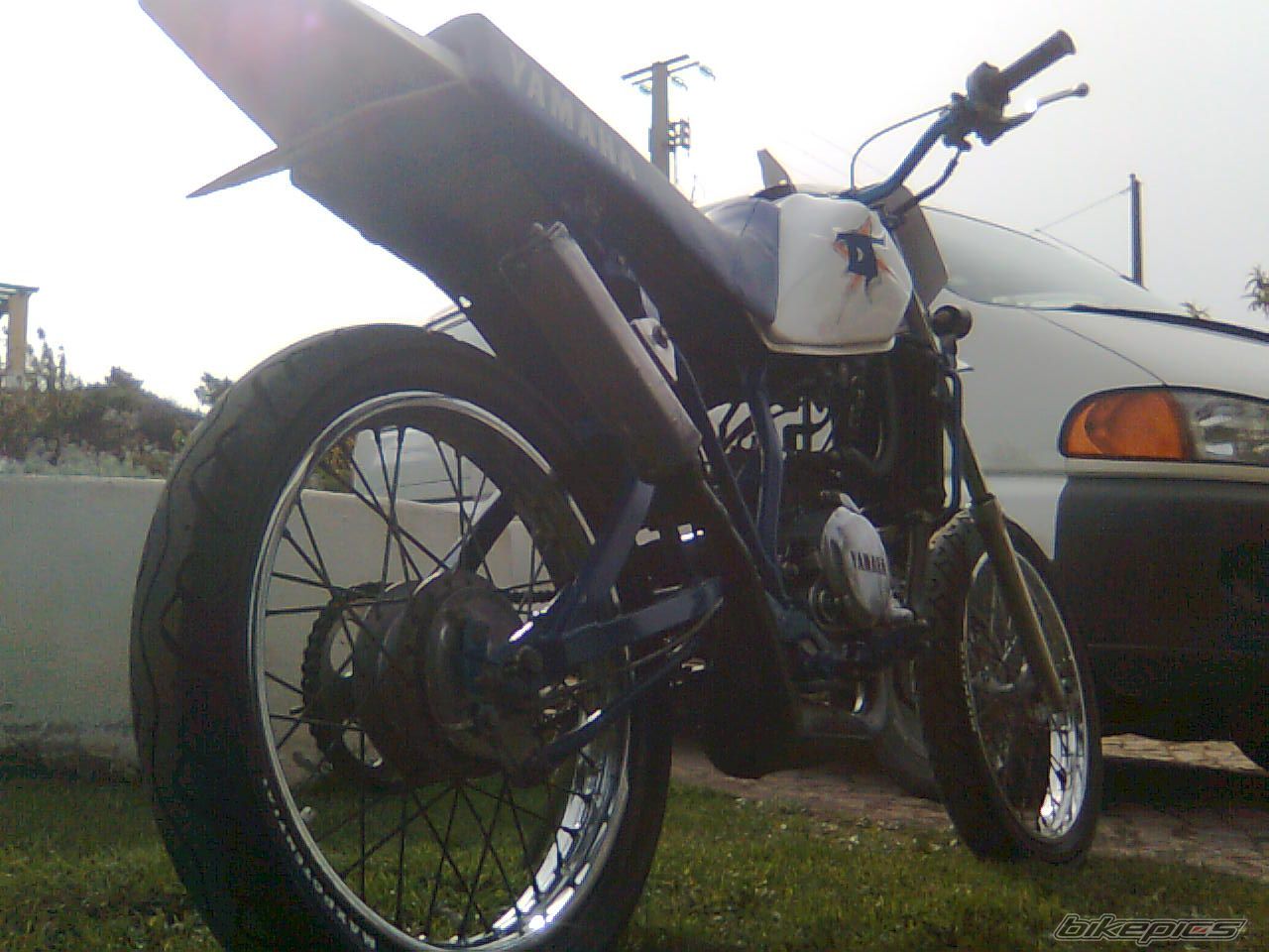 Photo 1639880