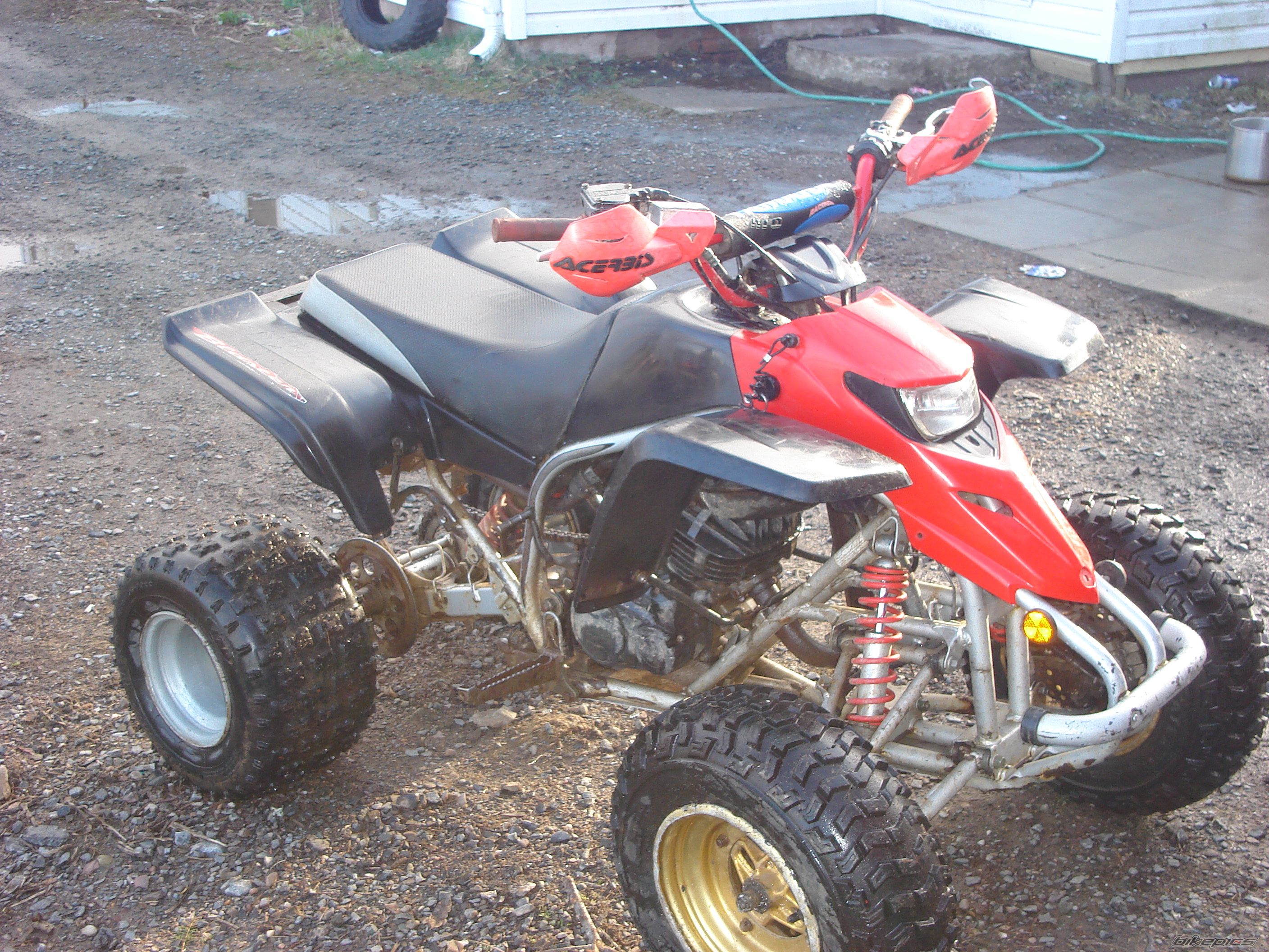 Photo 1639889