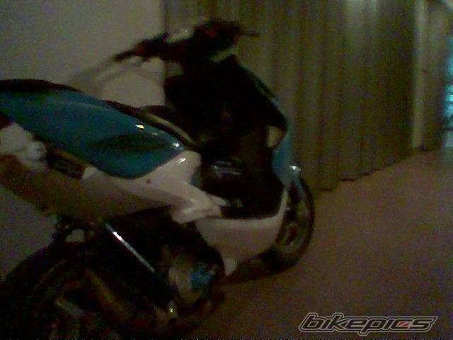 Photo 163991