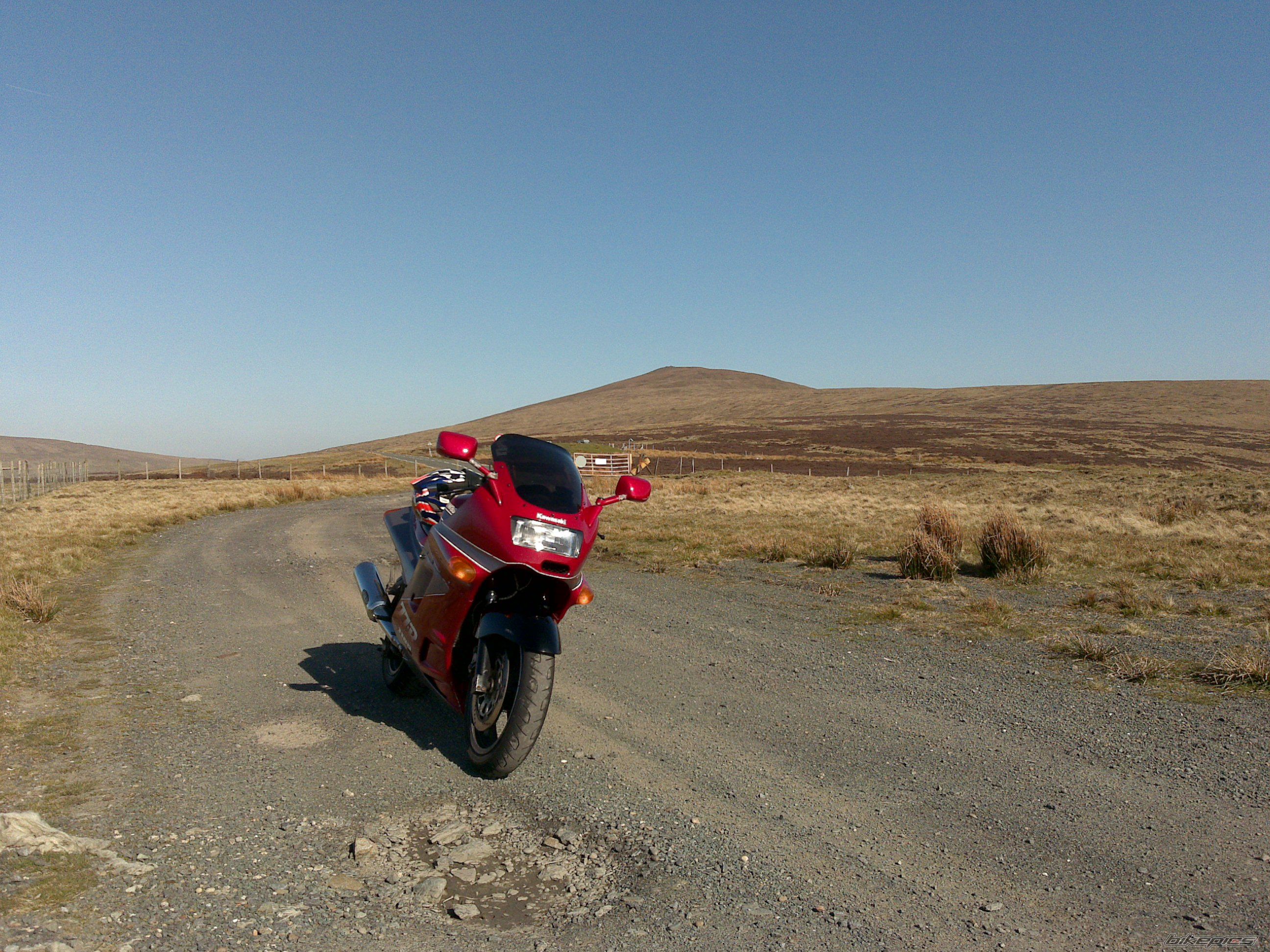 Photo 1639972