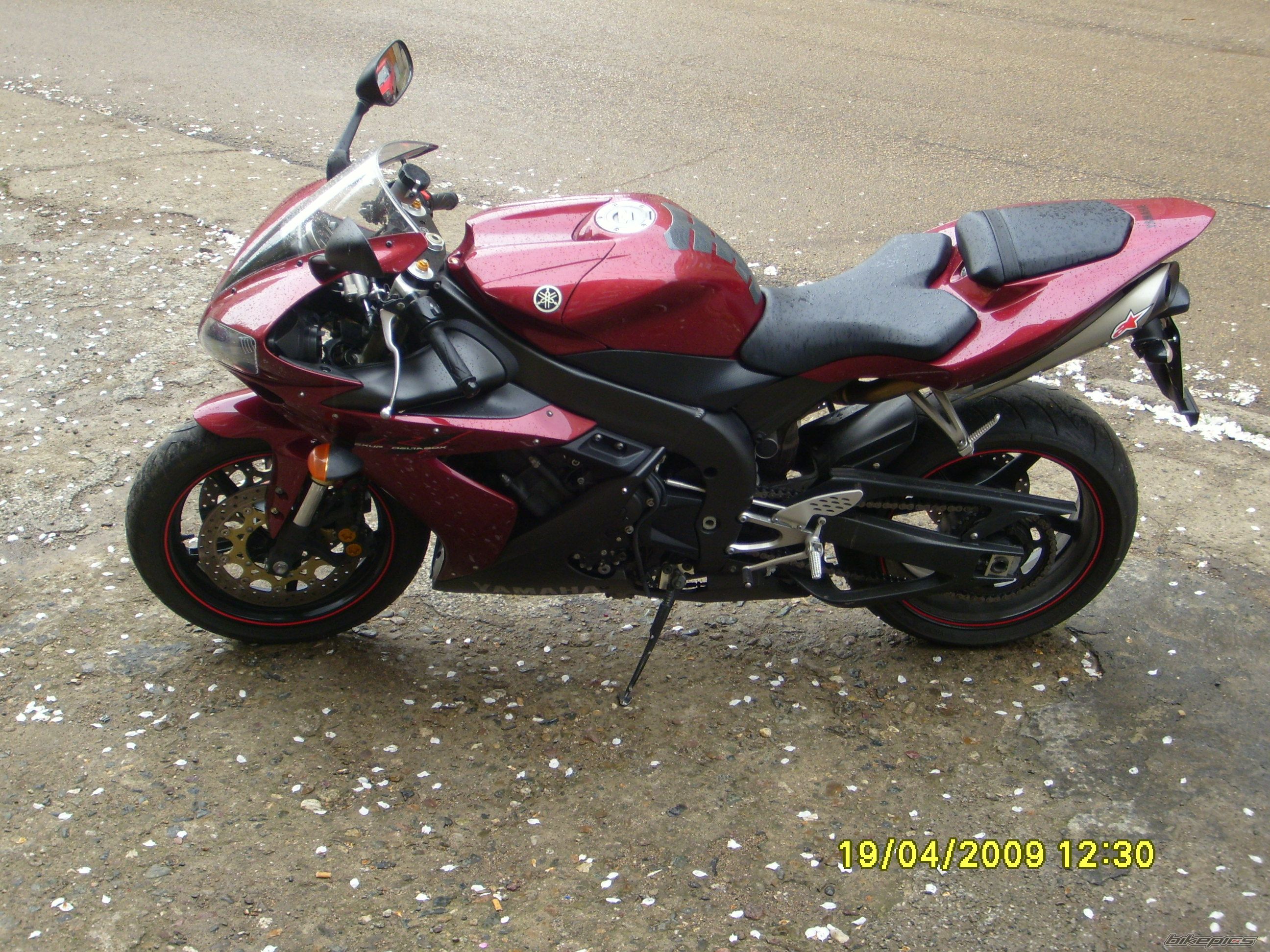 Photo 1639976