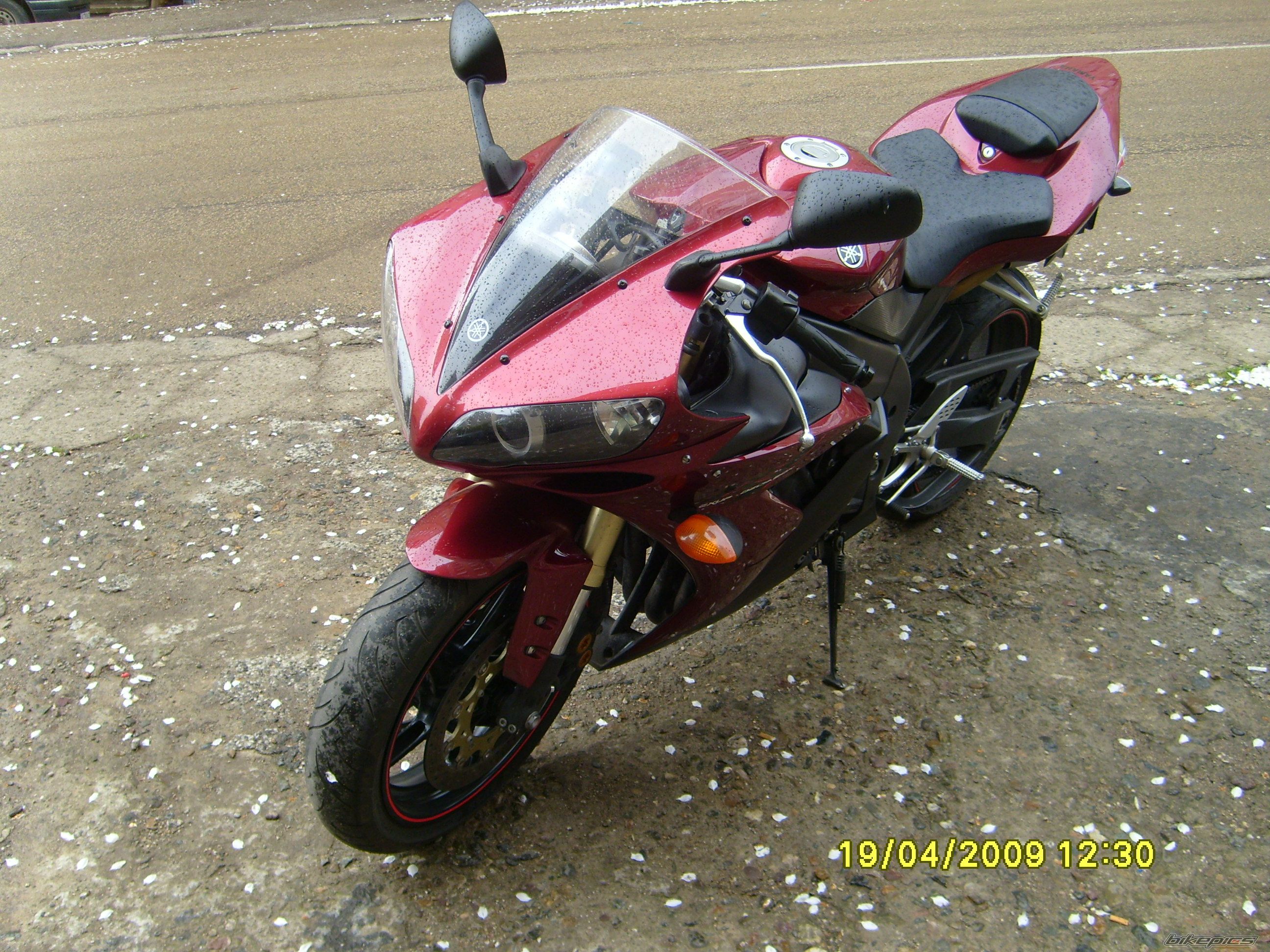 Photo 1639978